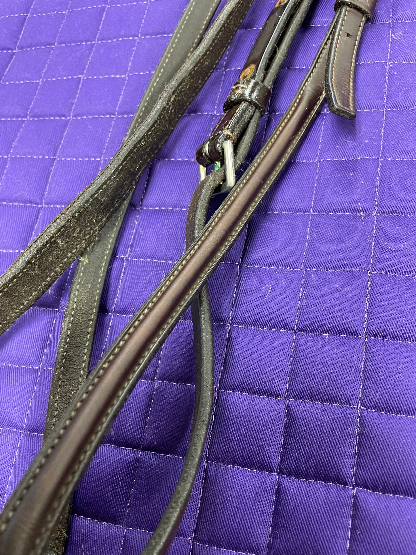 Jimmy’s 20th Century Fancy Standing Martingale