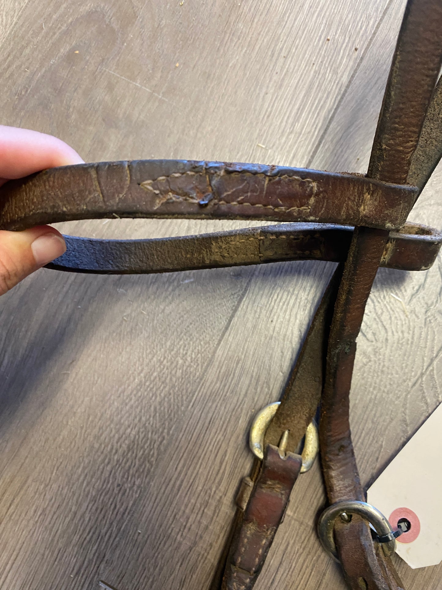 Champion Western Leather Gag Bridle