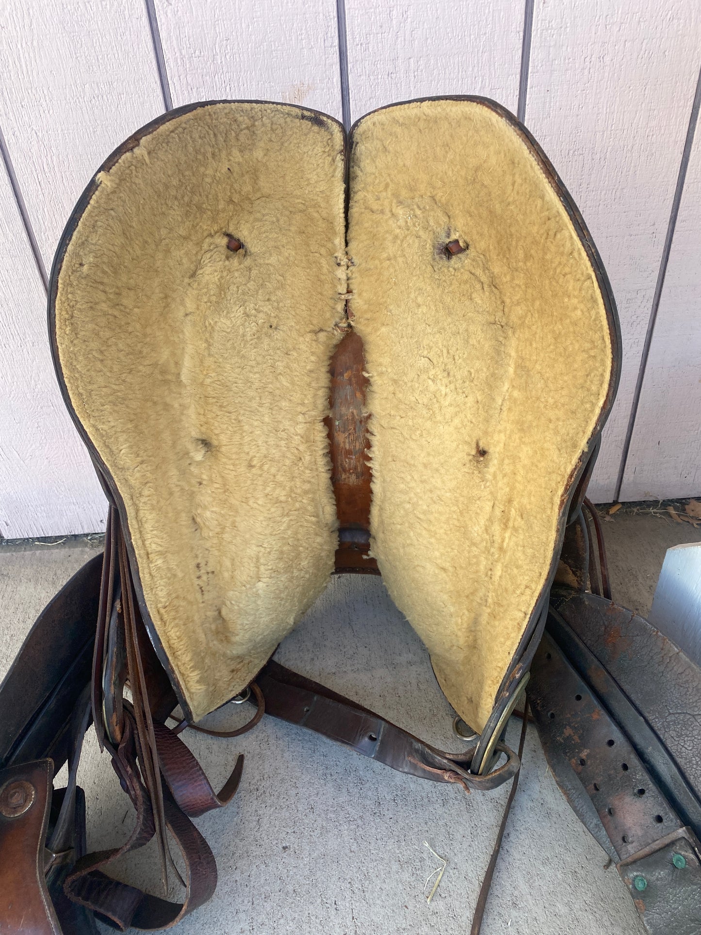 16 Keyston Heiser Western Roper