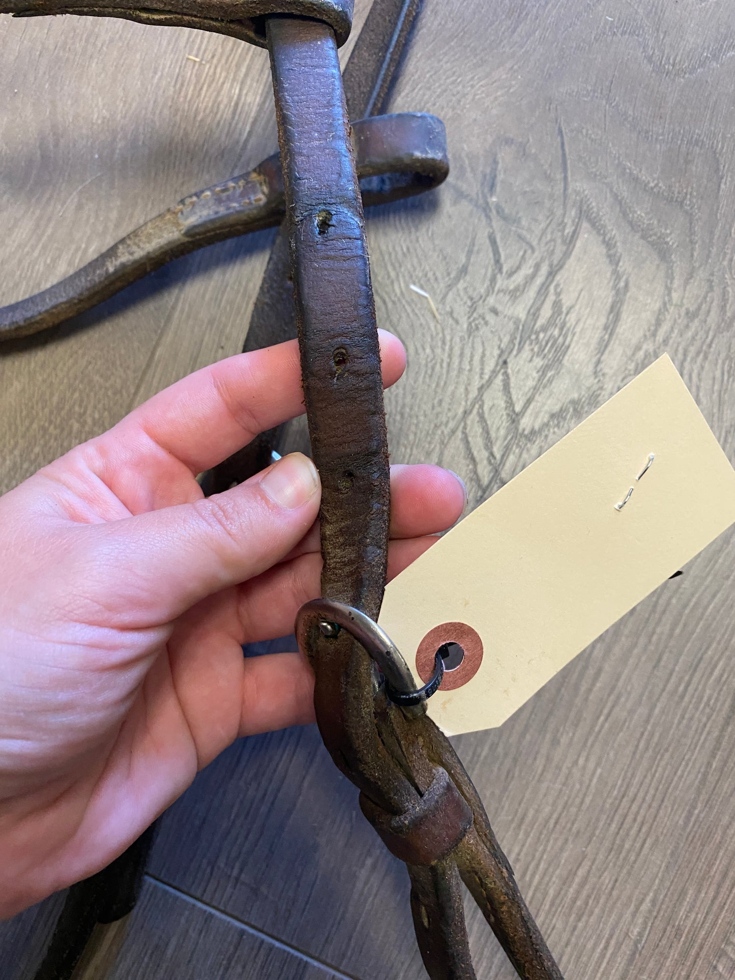 Champion Western Leather Gag Bridle