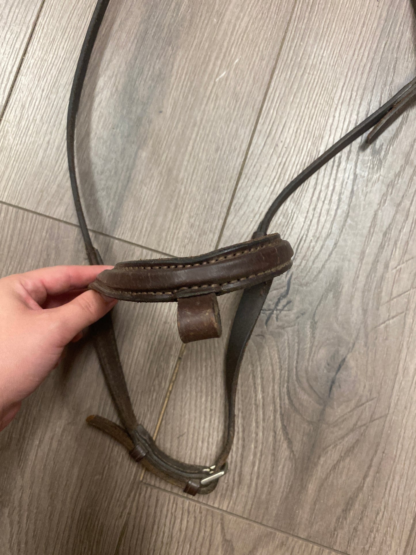 Full Raised Noseband Missing Flash