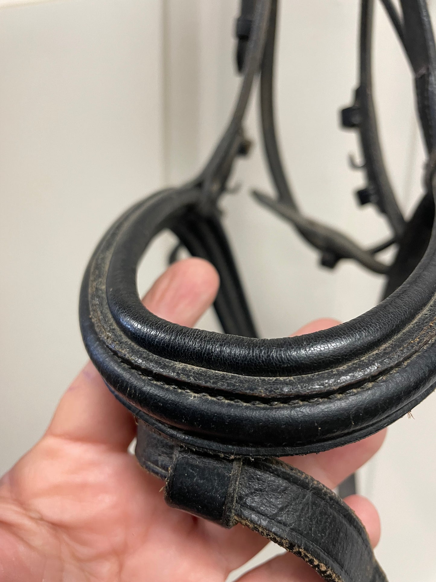 HORSE PLAIN RAISED PADDED DRESSAGE BRIDLE