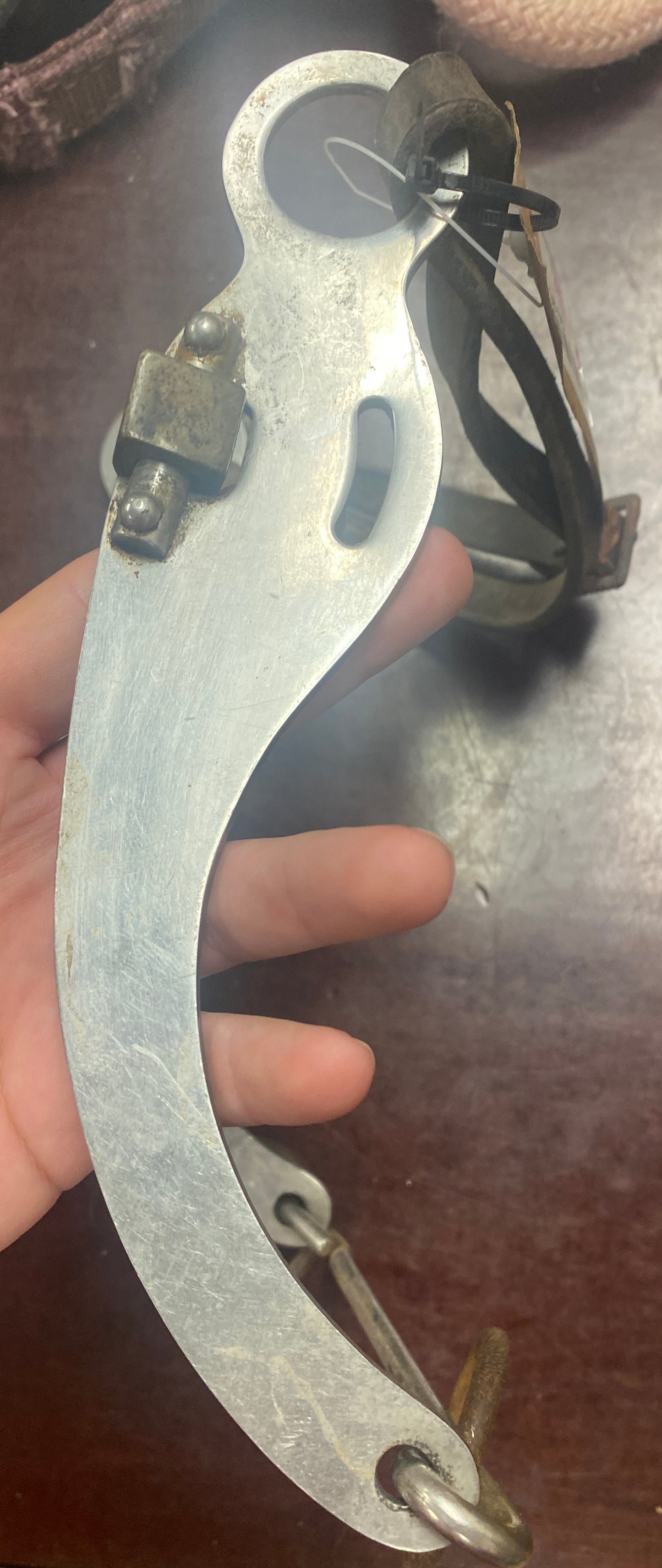 5” Silver Tip Curb Bit with Cricket Roller