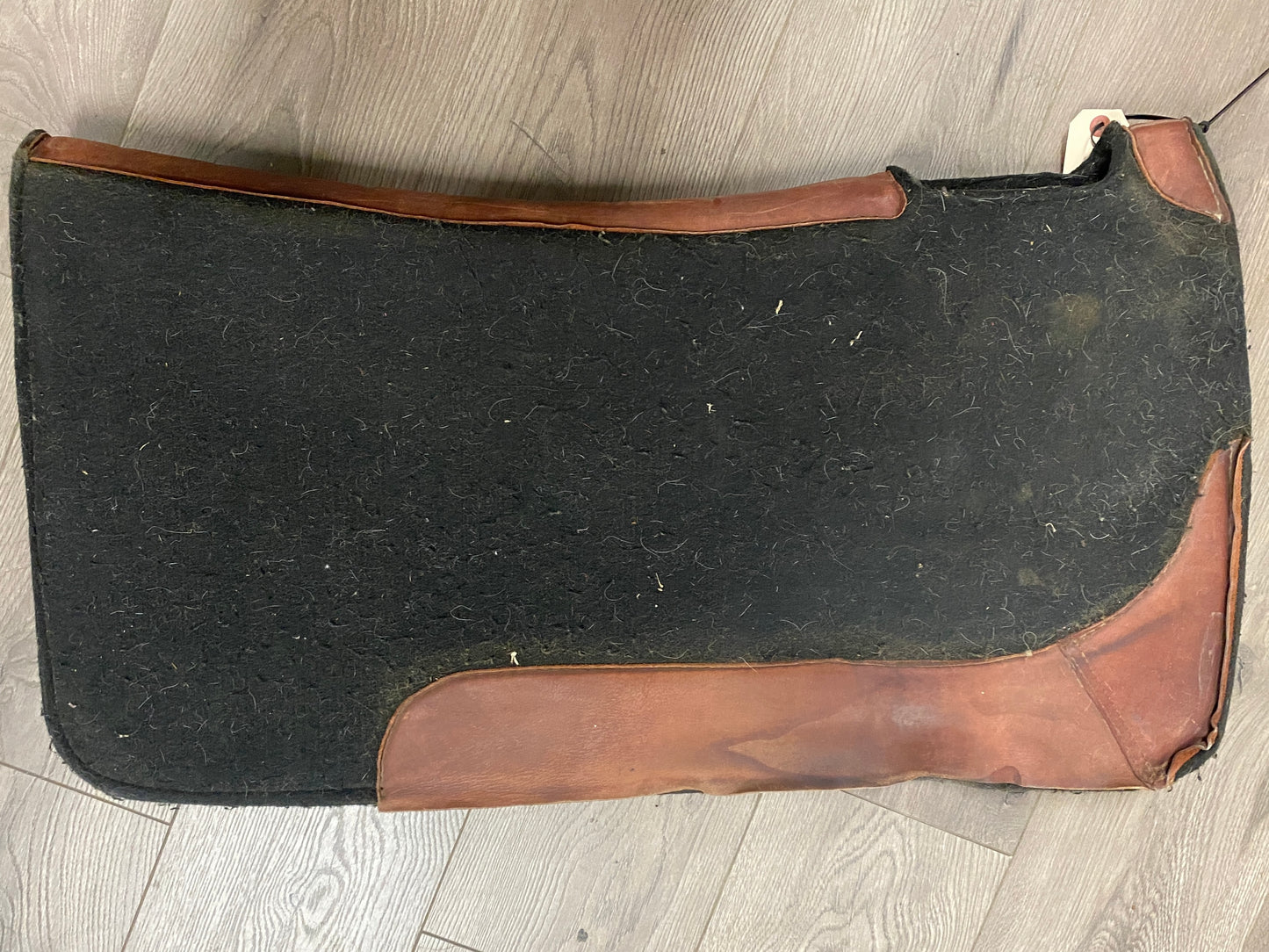 30x34 Ricottis Western Pad