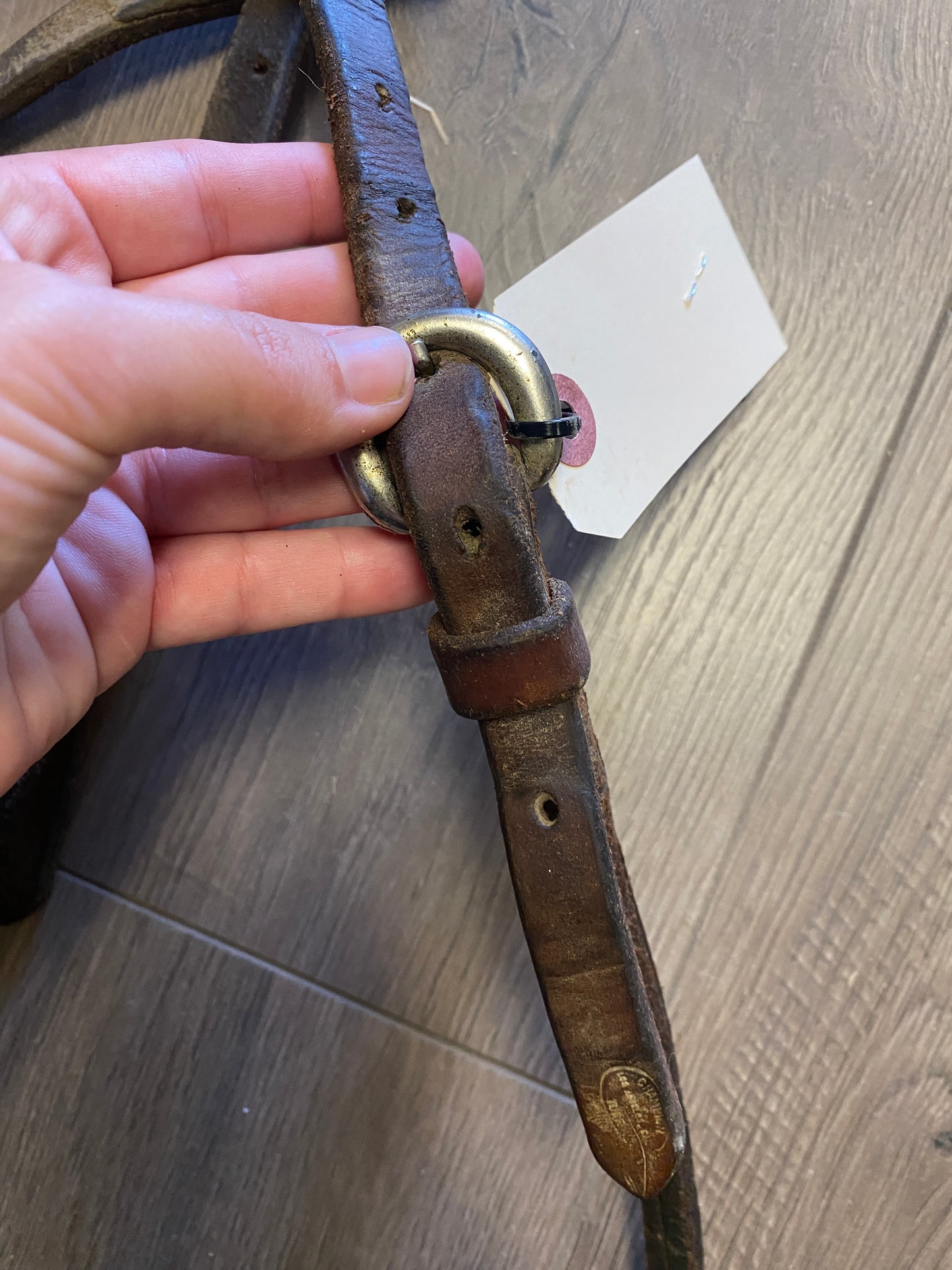 Champion Western Leather Gag Bridle