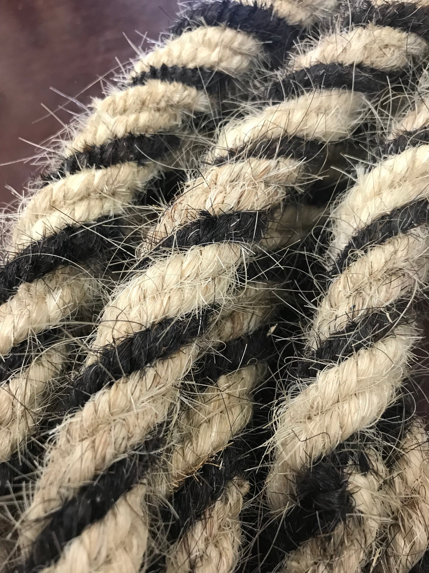 Horsehair Mecate reins
