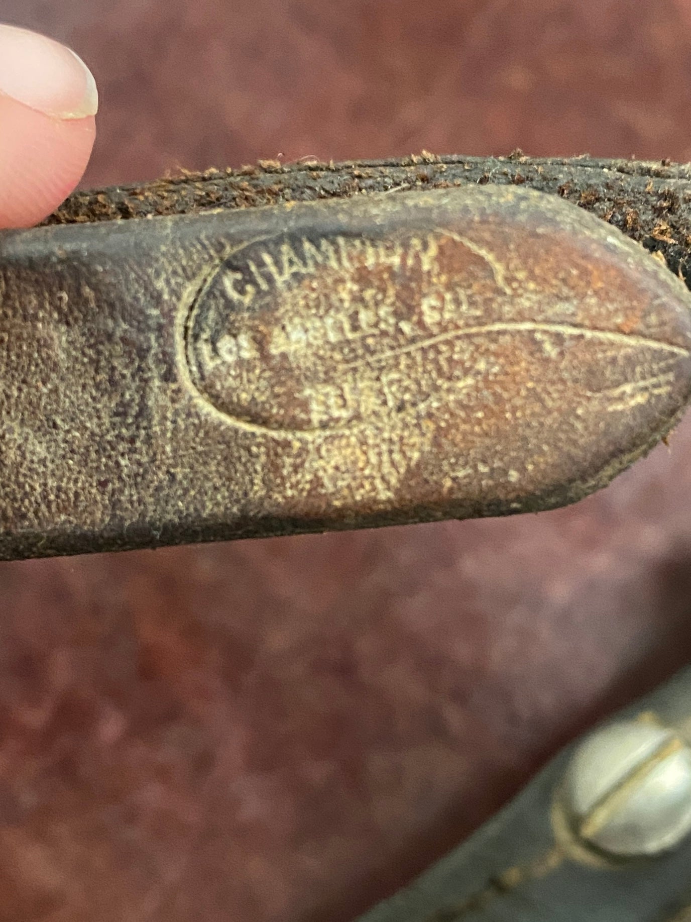 Champion Western Leather Gag Bridle