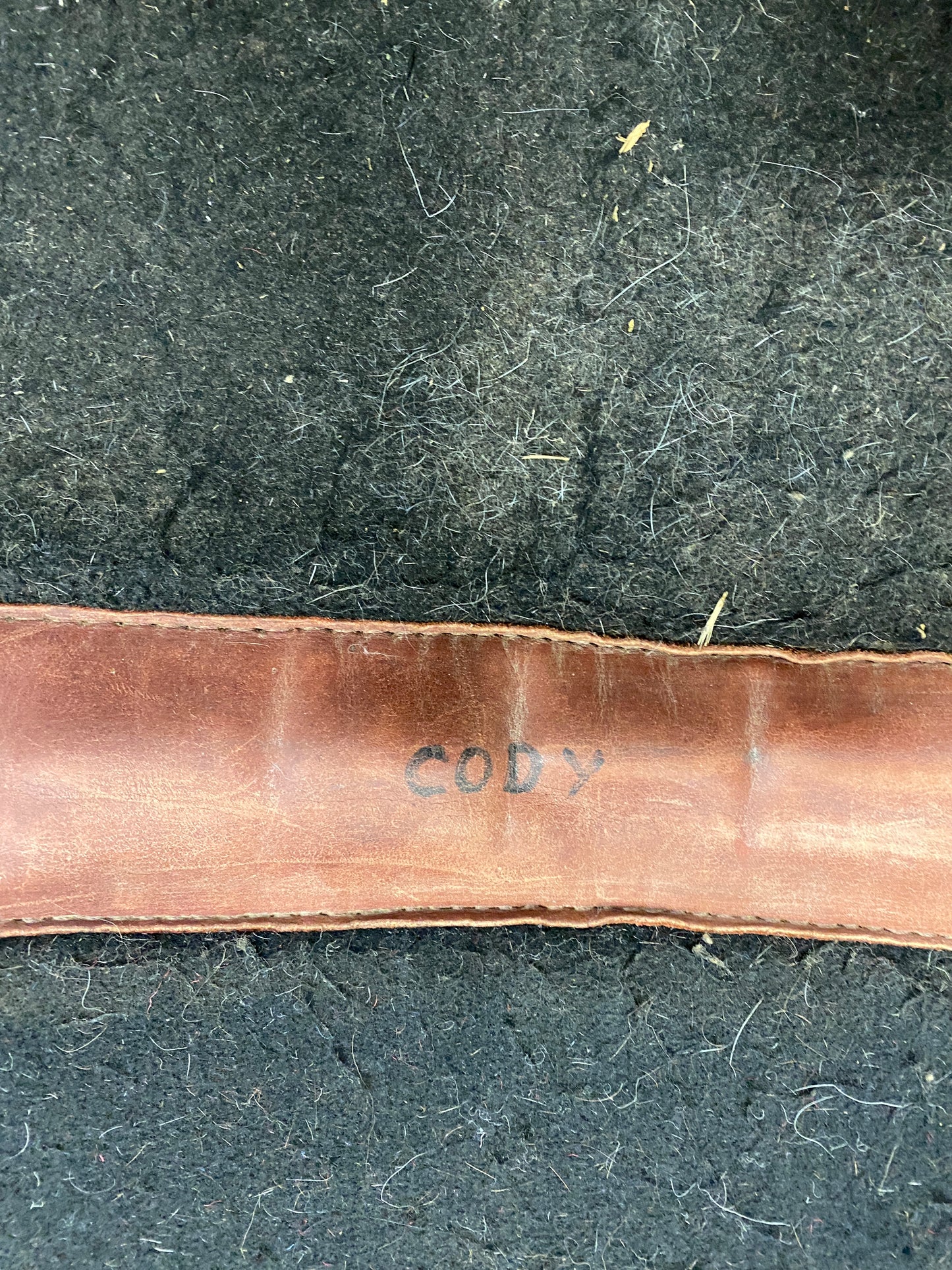 30x34 Ricottis Western Pad