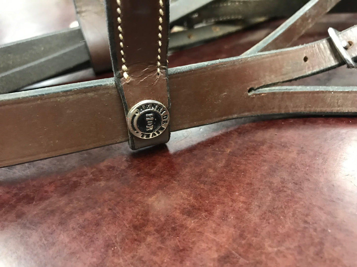 Cob Fancy hunter bridle HDR