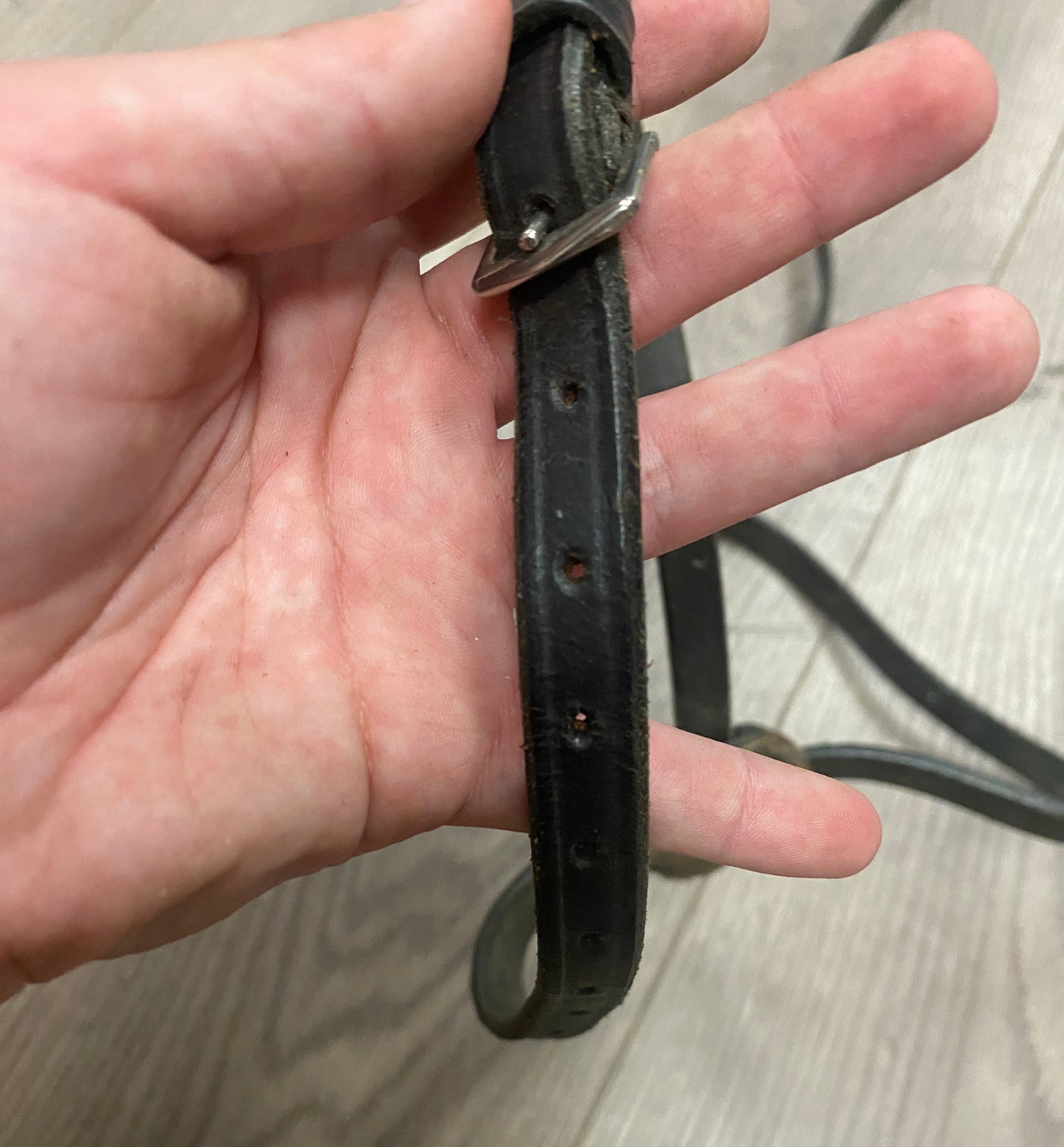 Full Black Figure 8 Noseband