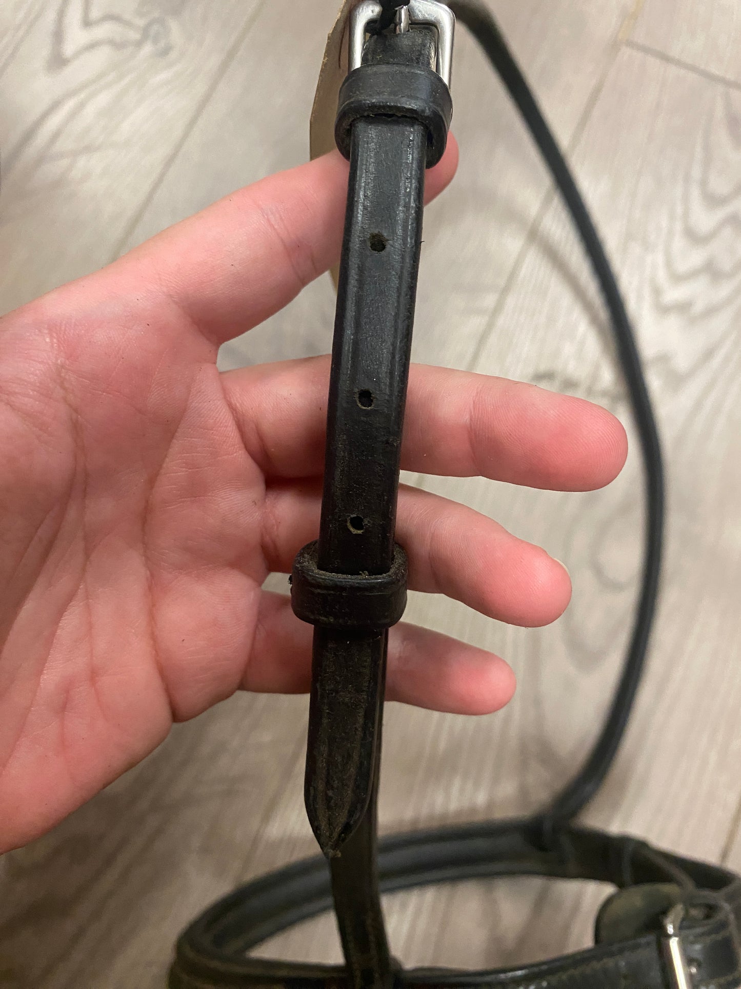 Pony Black Noseband