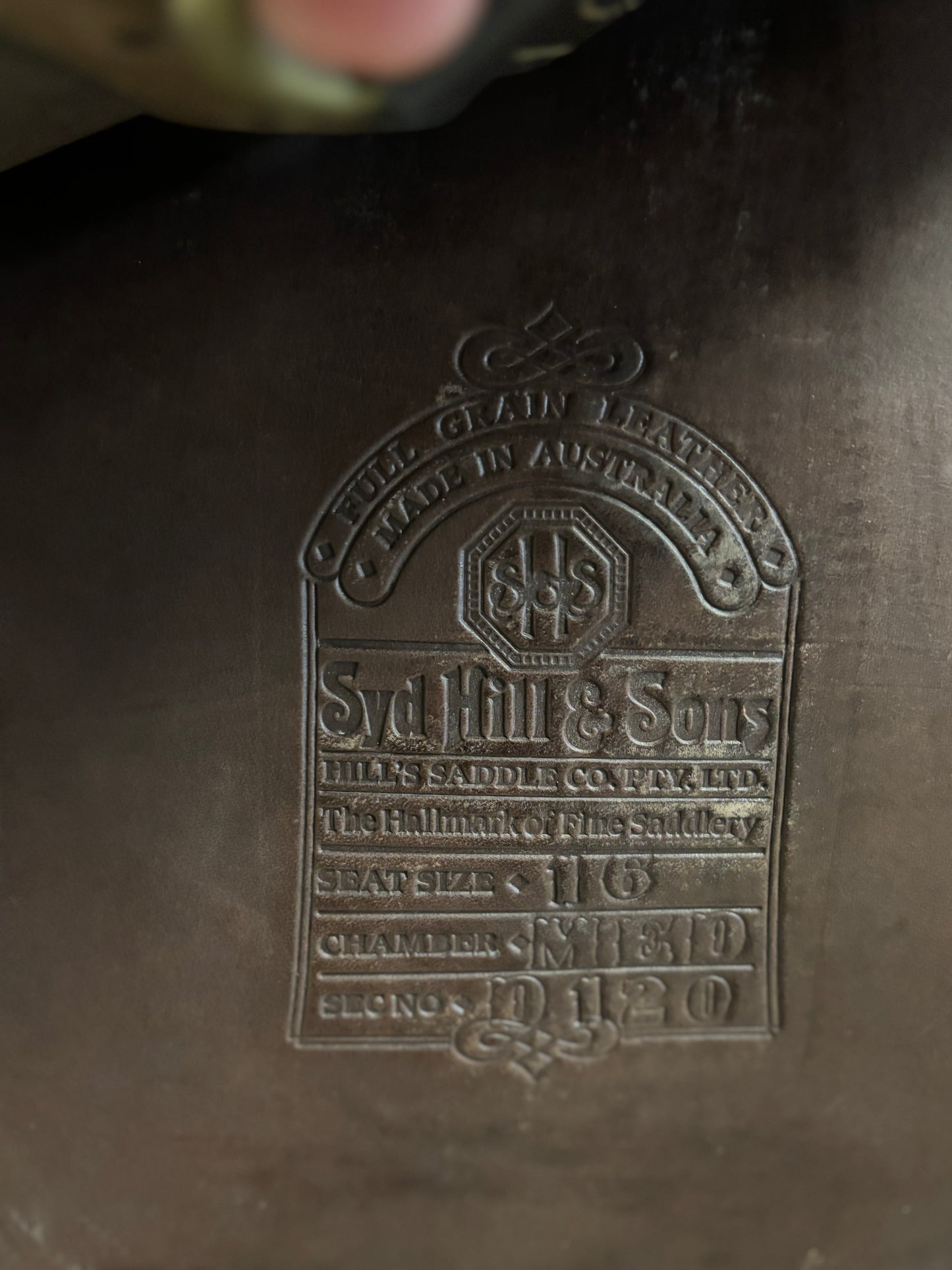 16 Syd Hill Suprema Australian saddle
