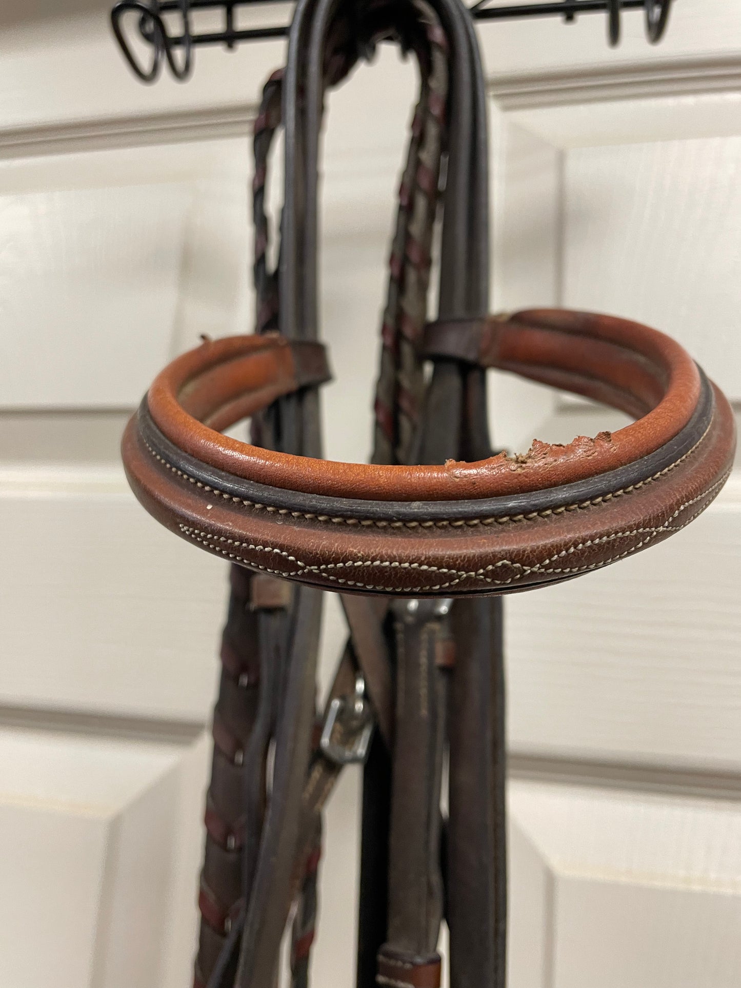F Circuit Bridle  w/Laced Reins