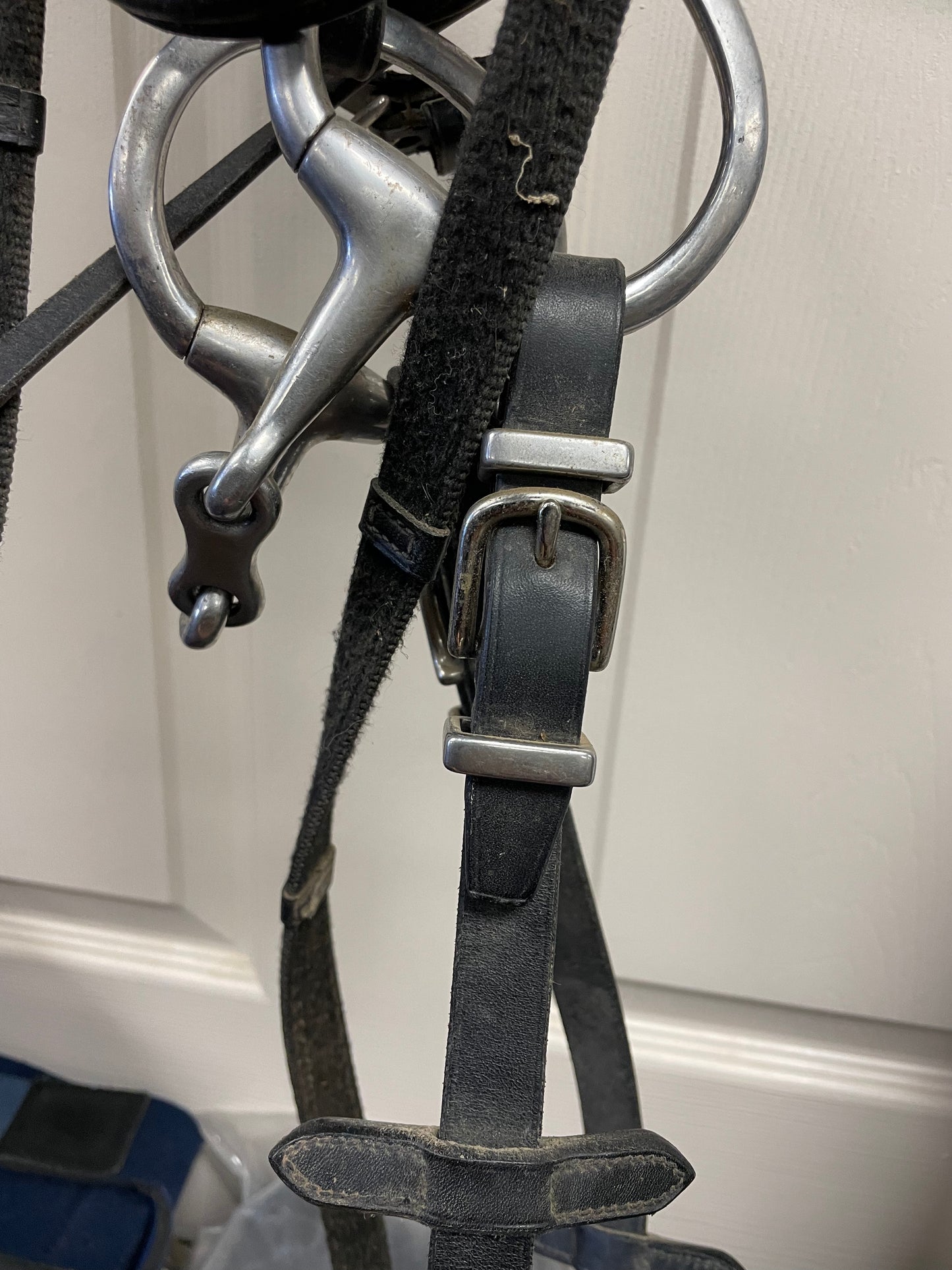F Plain Raised Black Bridle wreins