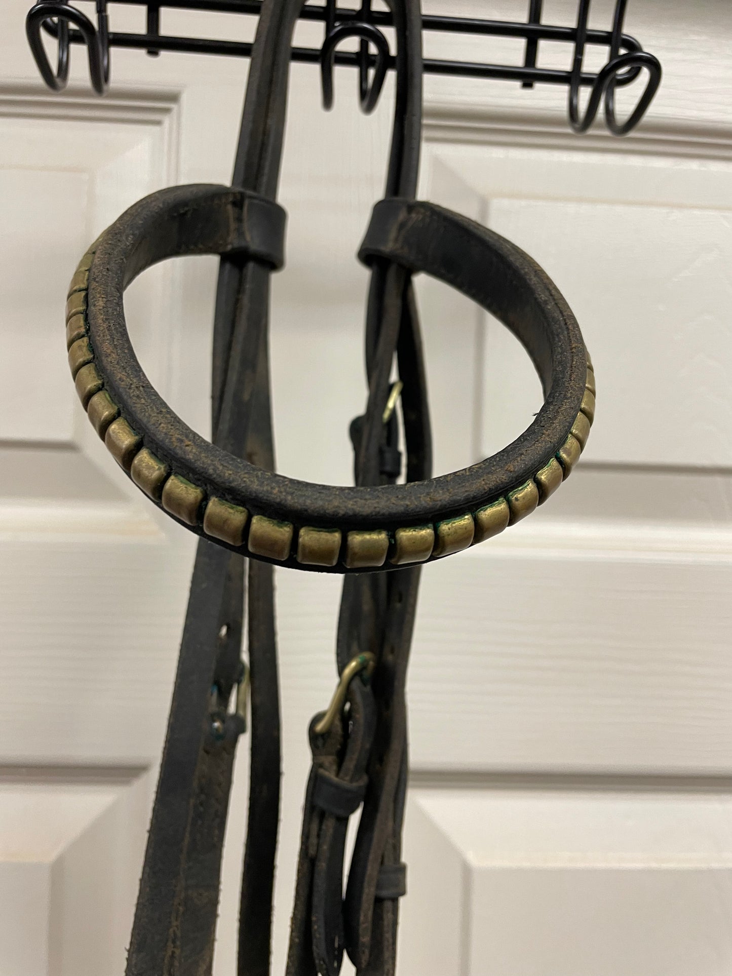 F black schooling bridle