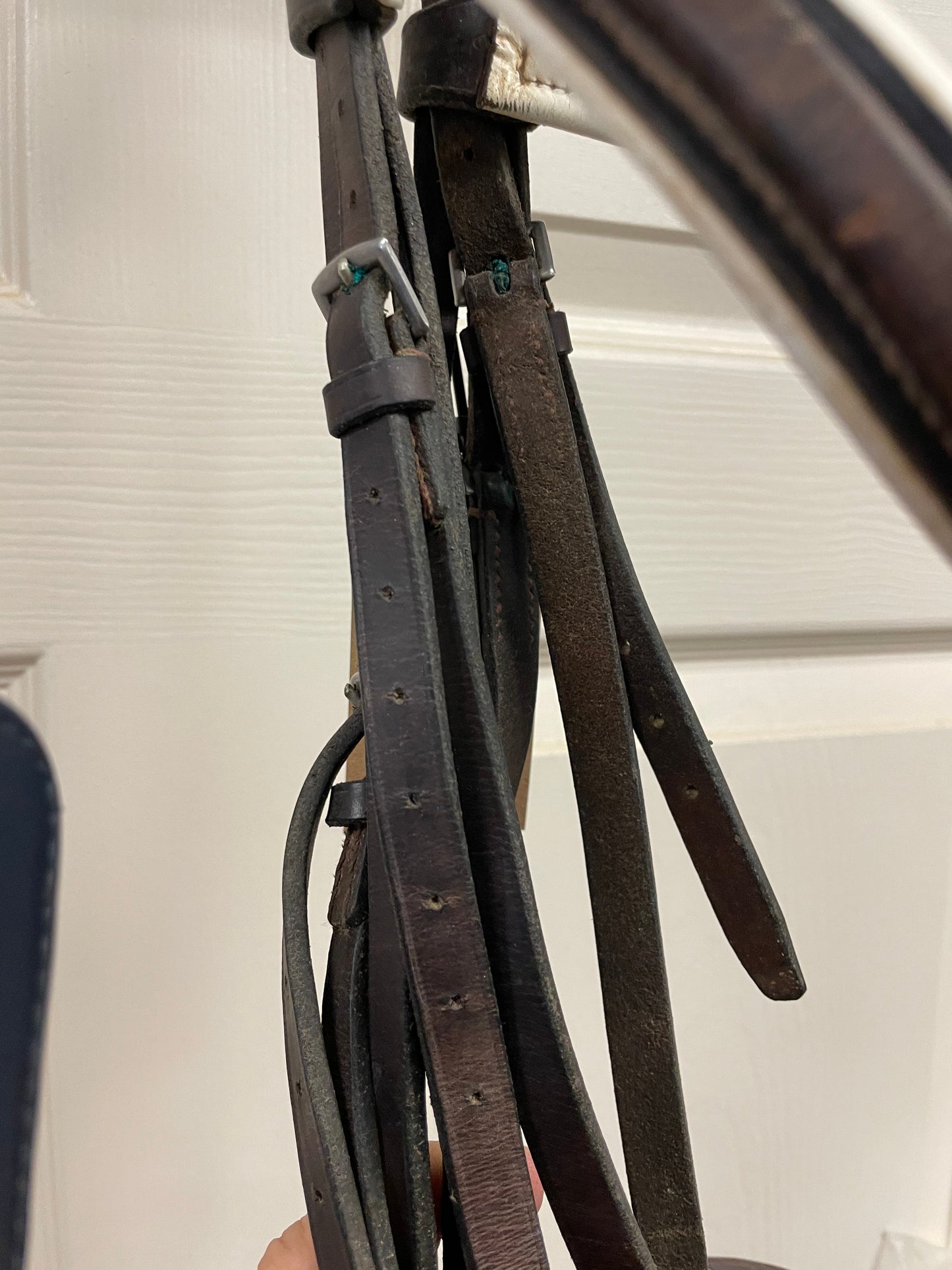 H Brown Dressage Bridle