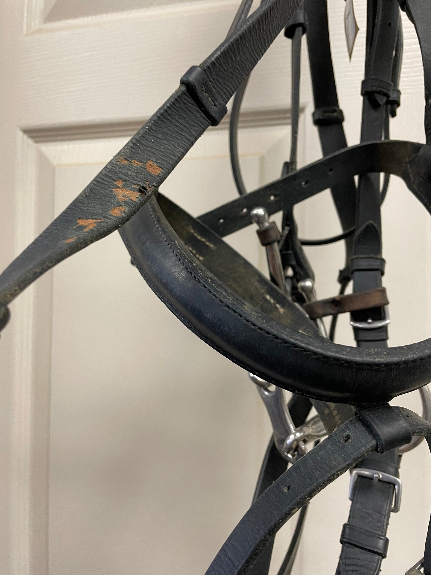H BRIDLE BLACK BIT AND REINS