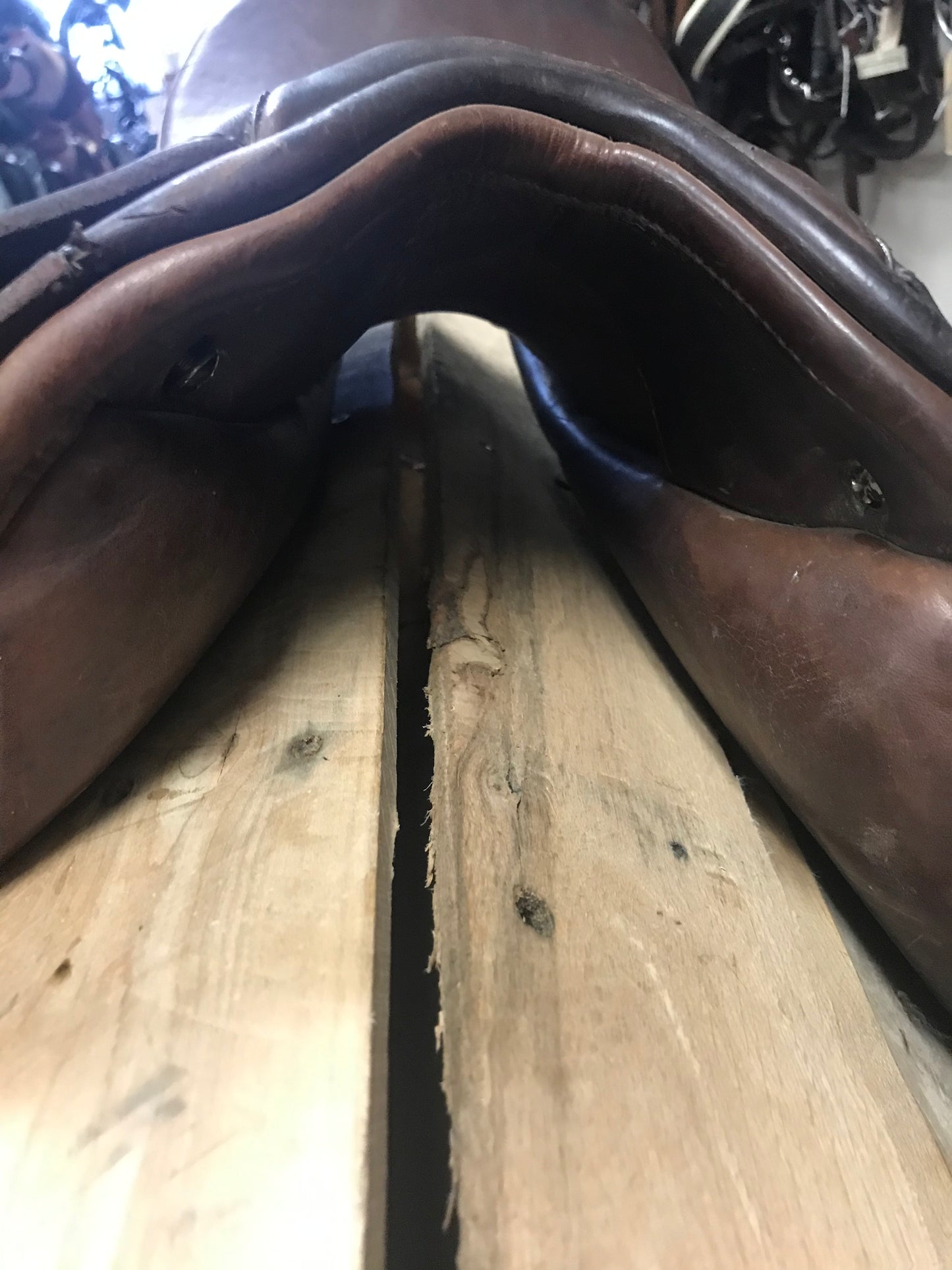 17 Bates Caprilli jump saddle