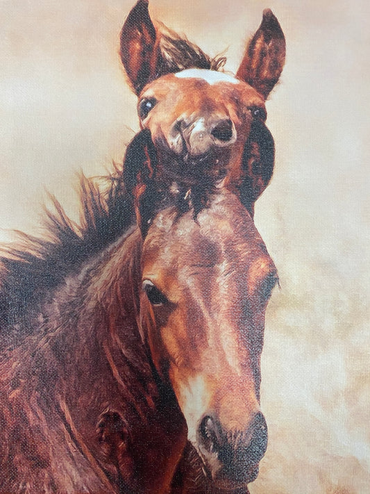 12”x12” Canvas Photo of Two Foals
