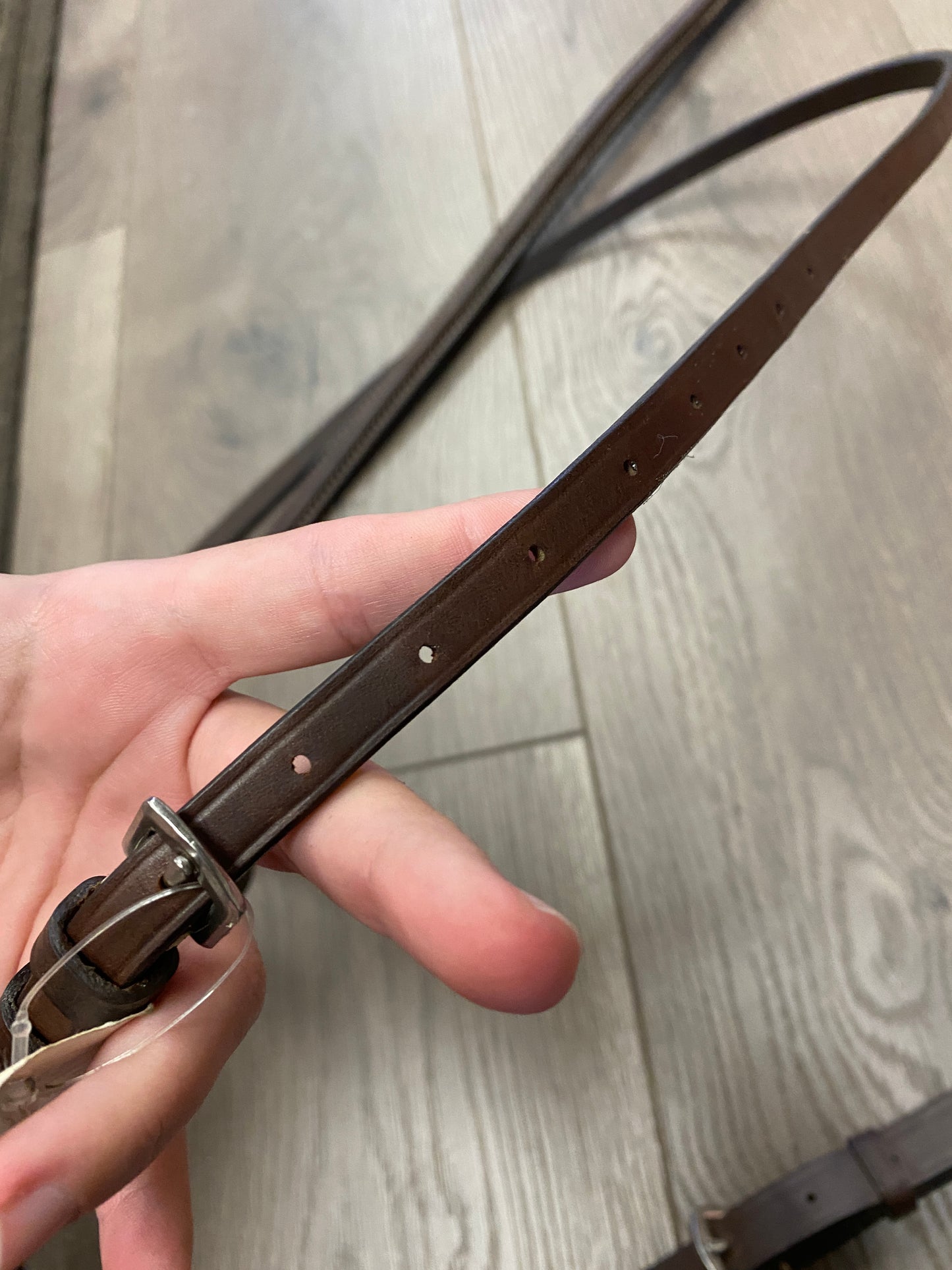 Cob Beval Raised Fancy Stitch Standing Martingale