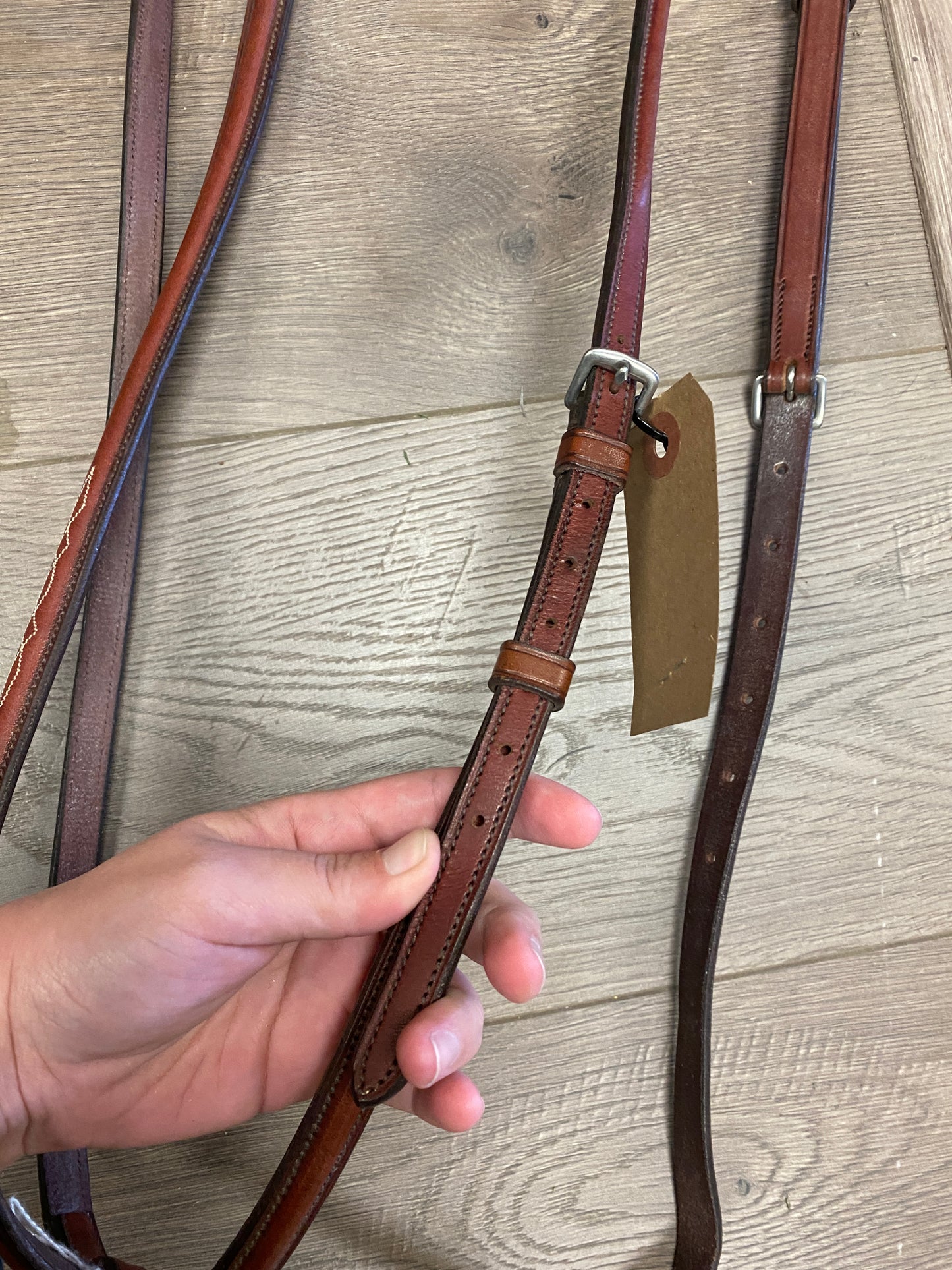 Full/Horse Vespucci Raised Fancy Stitch Standing Martingale