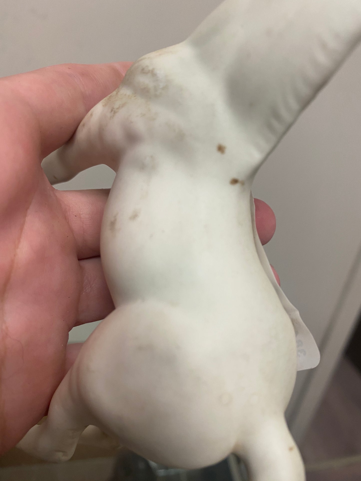 Grey Porcelain Foal