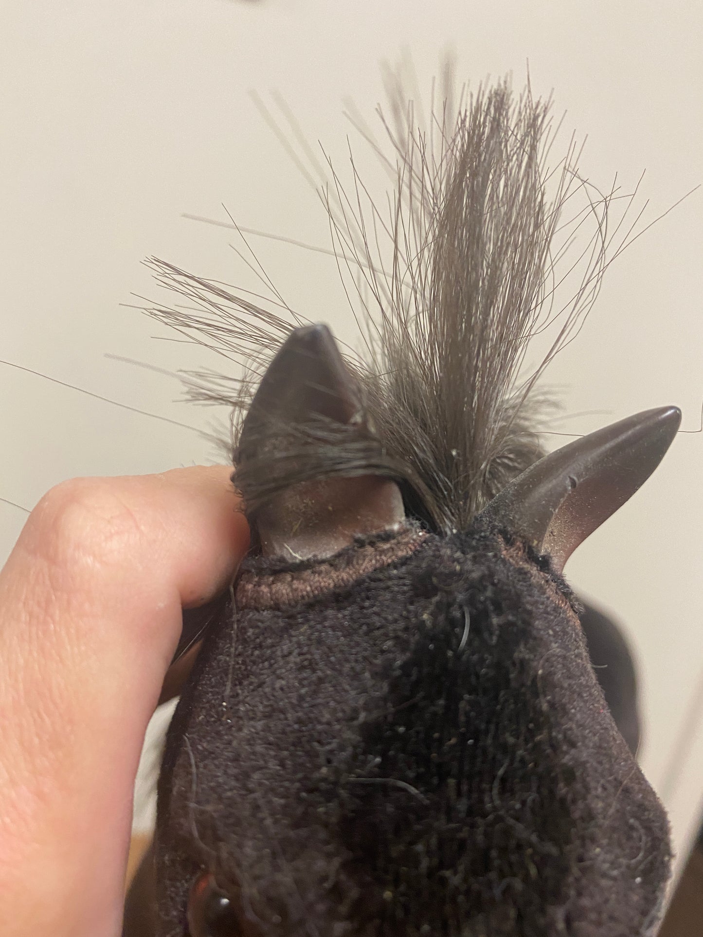 American Girl Doll Black Foal ‘Patriot’