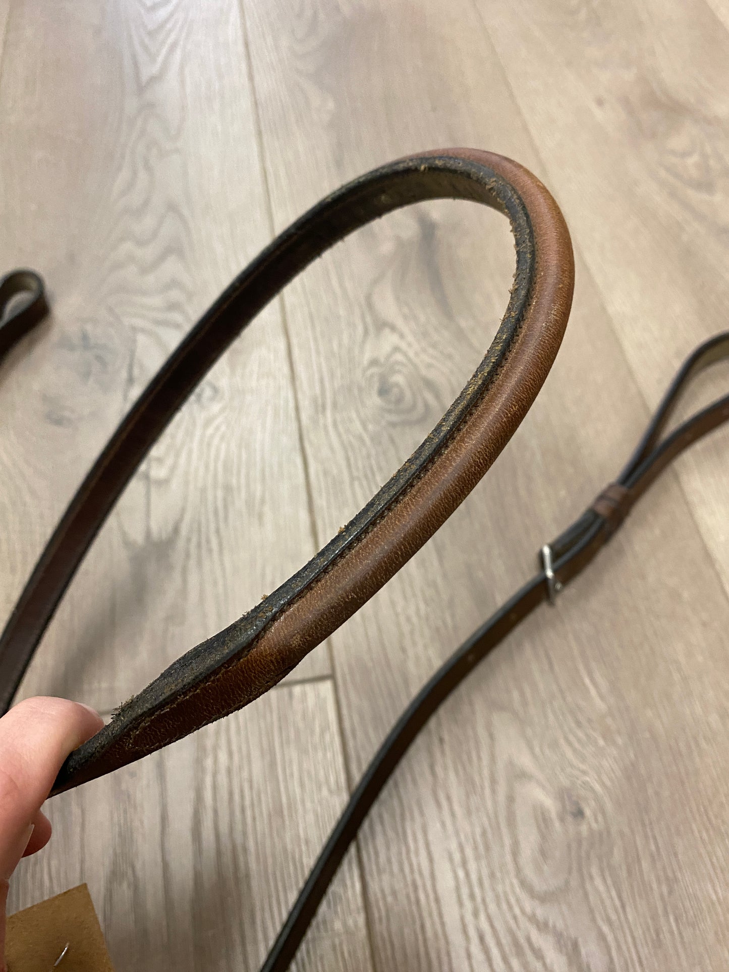 Full/Horse Pariani Plain Raised Standing Martingale