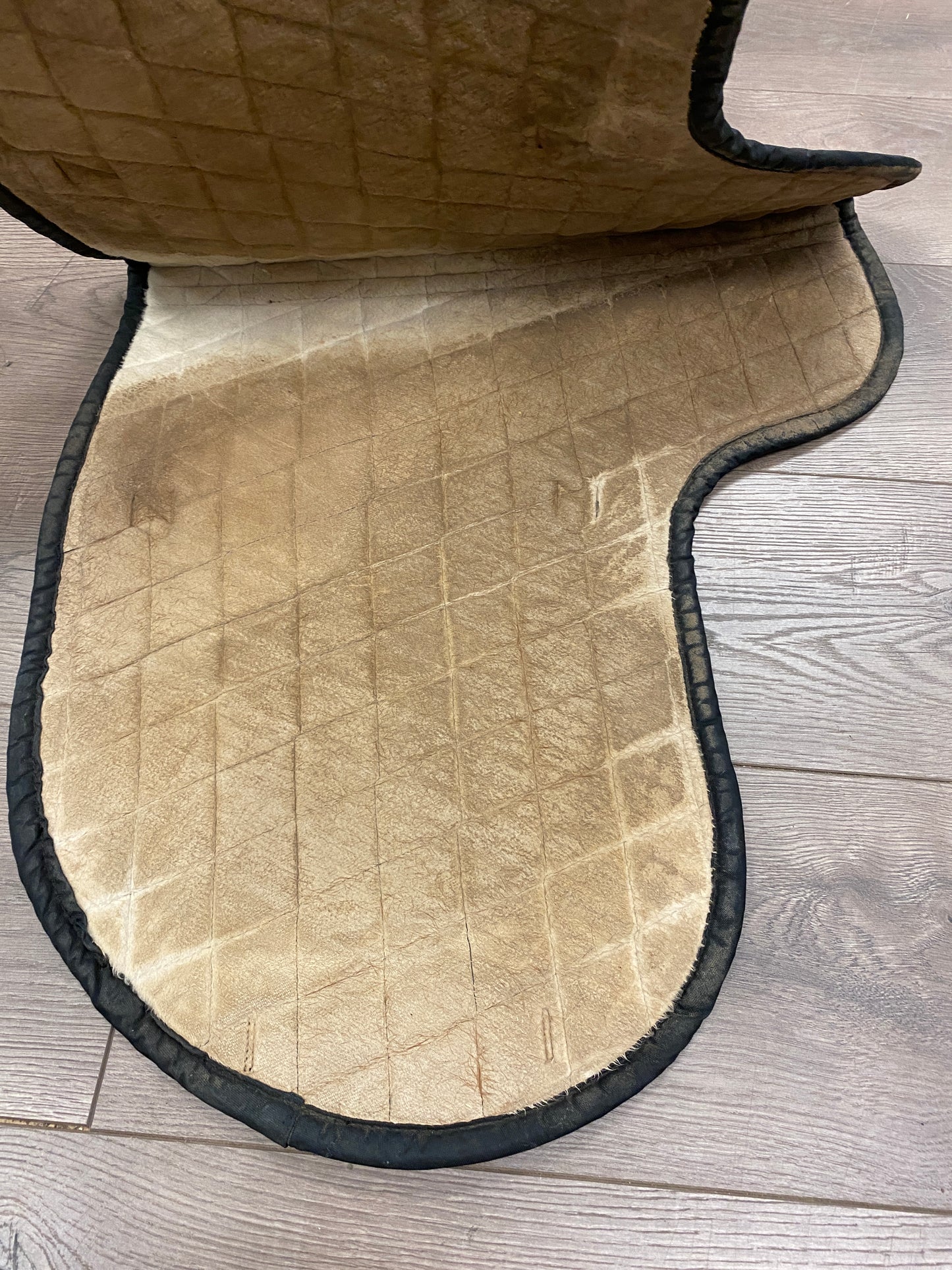 Blue Toklat Quilted Dressage Fitted Pad