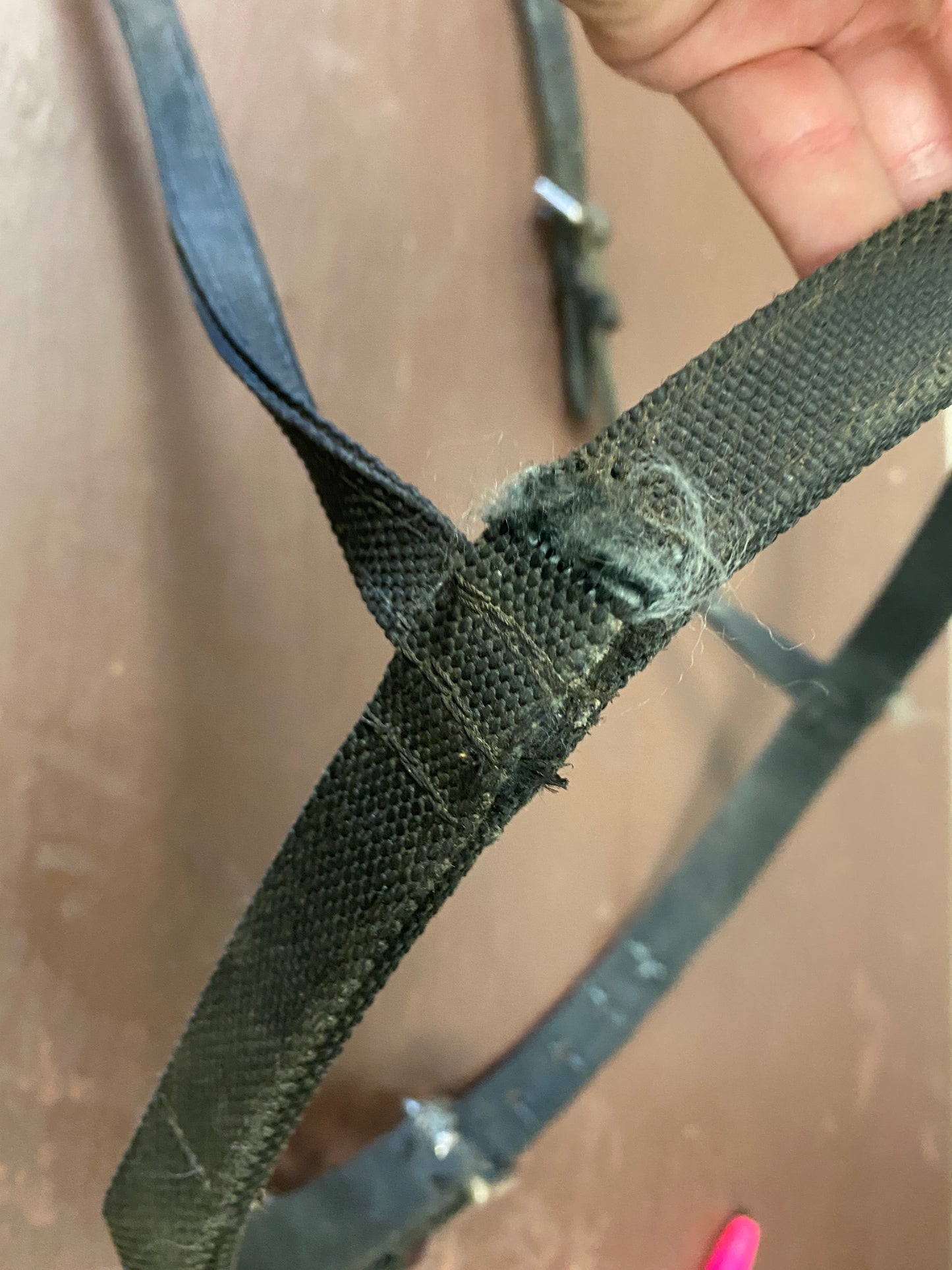 Lg Black Nylon Noseband