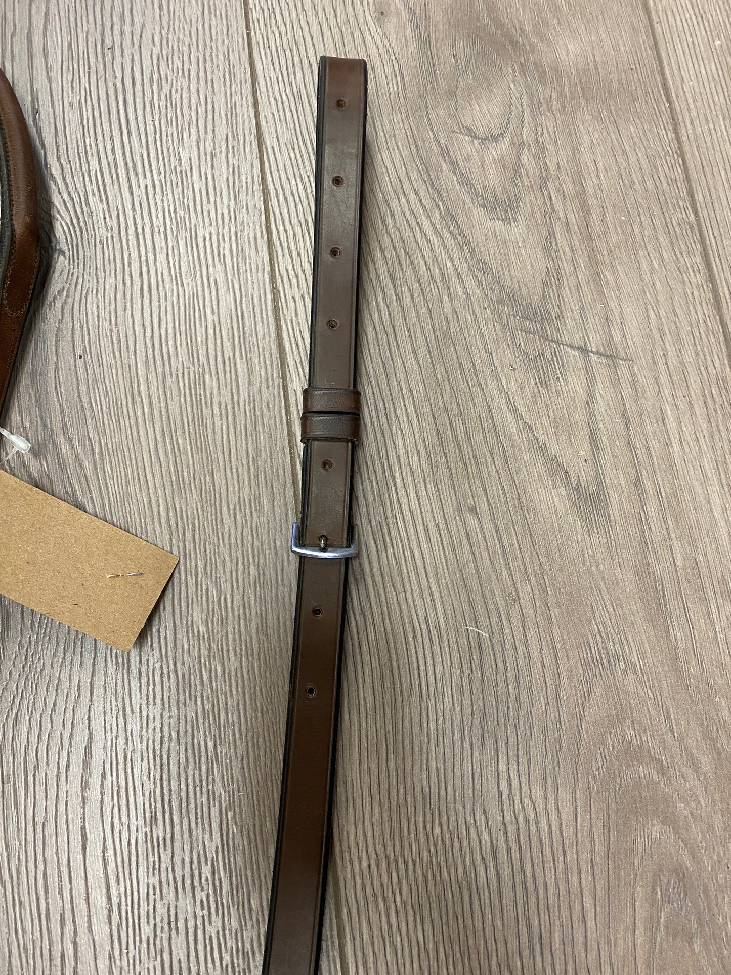Full/Horse Pariani Plain Raised Standing Martingale