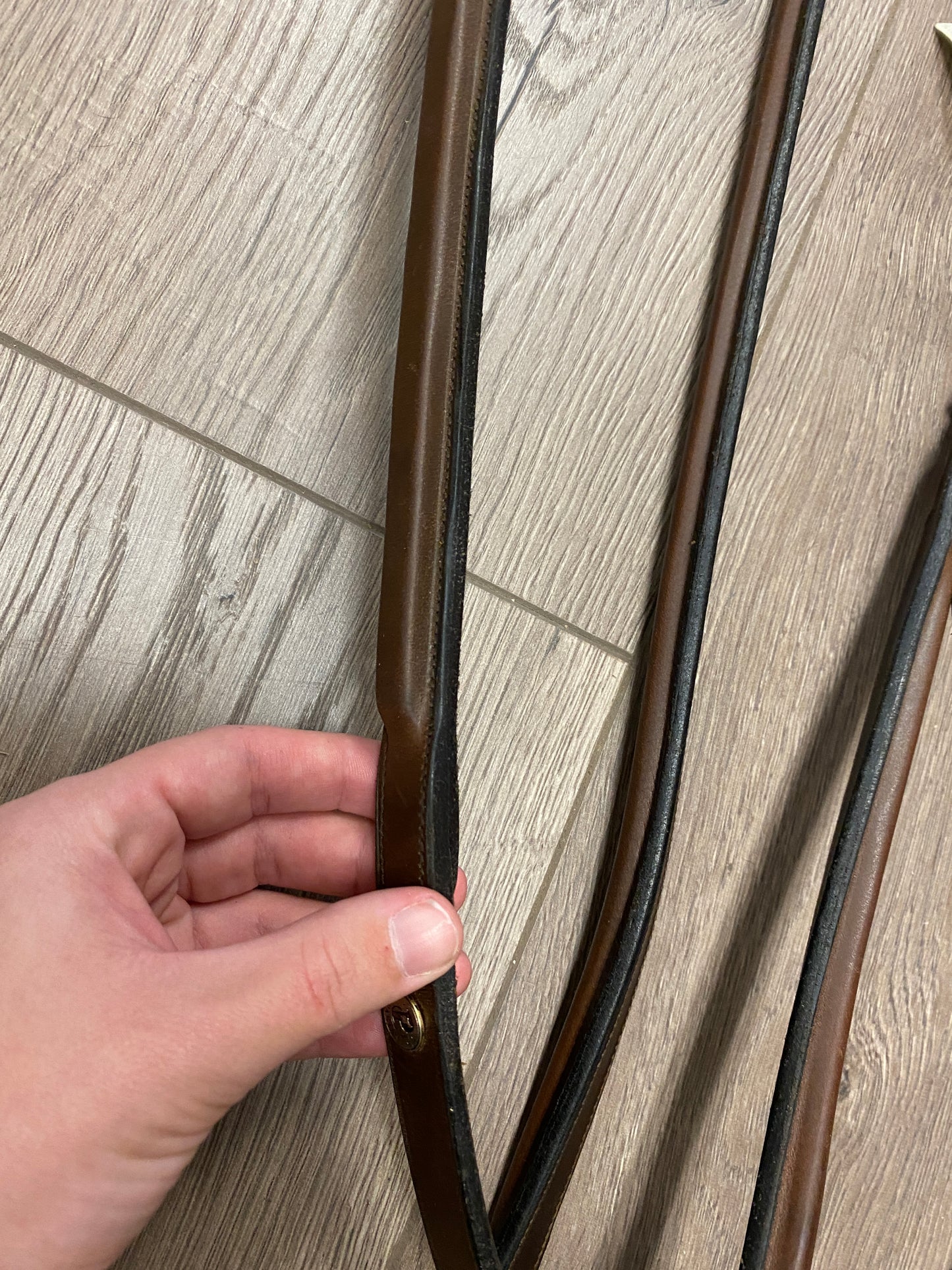 Full/Horse Pariani Plain Raised Standing Martingale