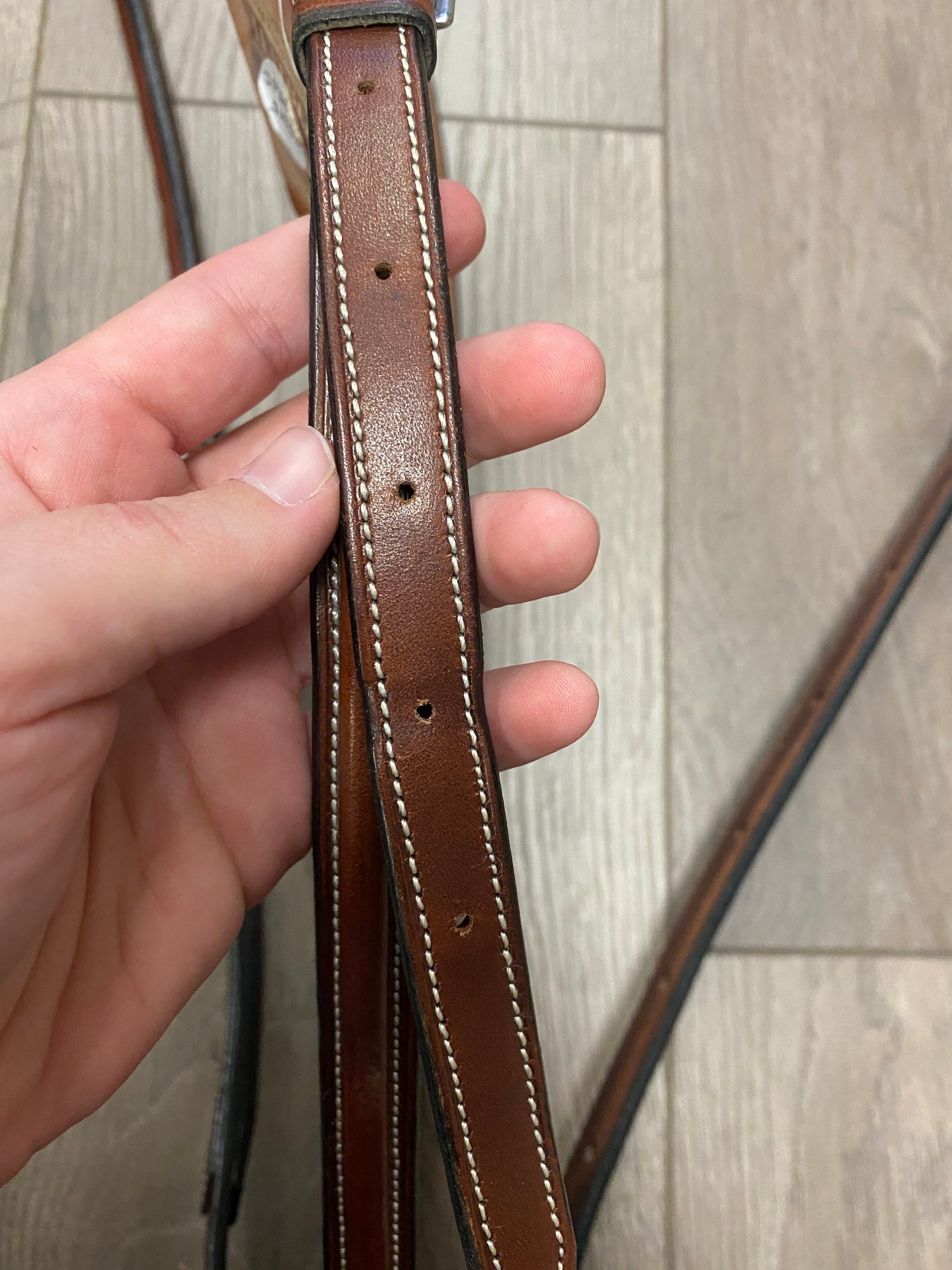 Full/Horse Arc De Triomphe Raised Fancy Stitch Standing Martingale