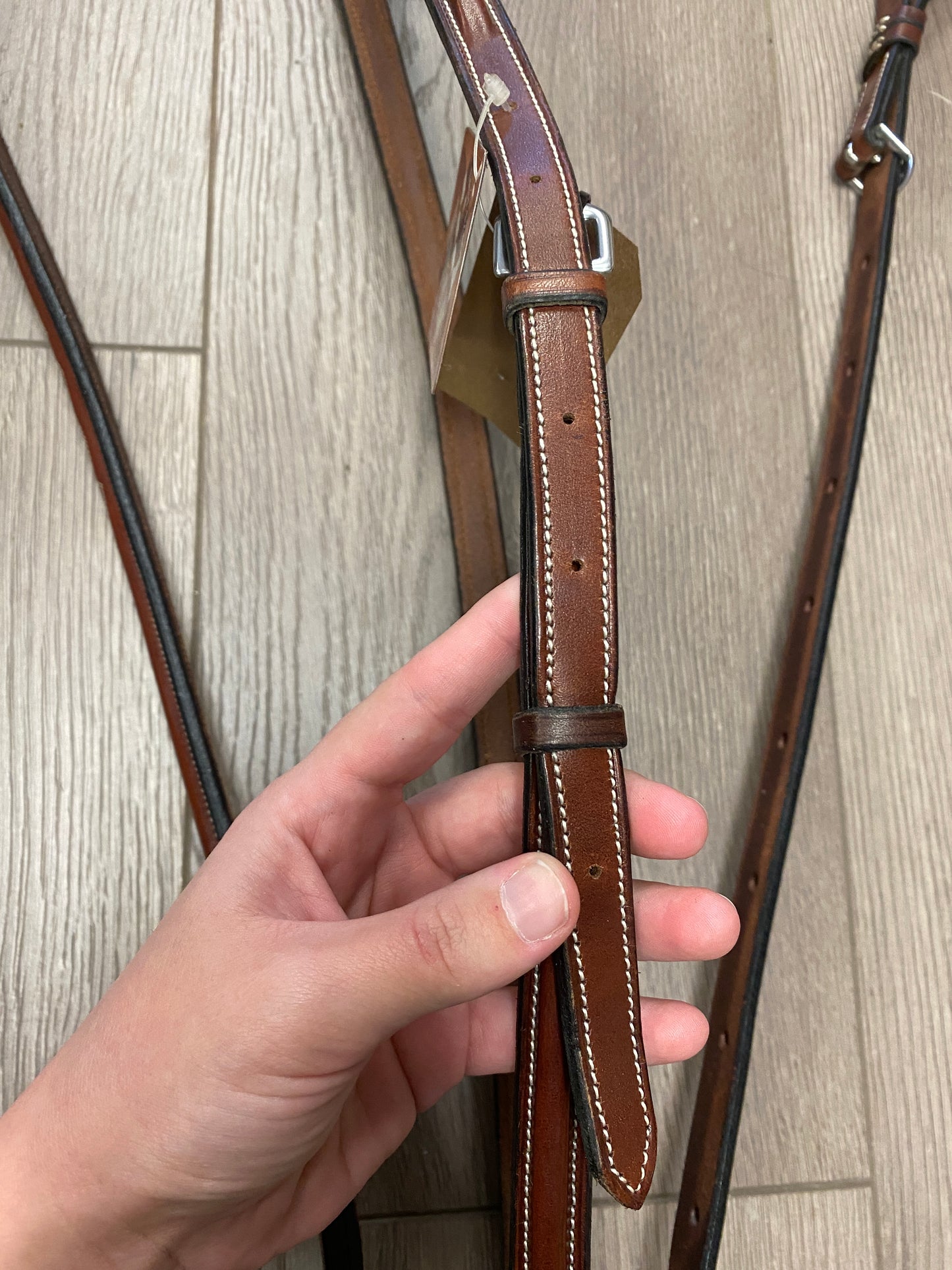 Full/Horse Arc De Triomphe Raised Fancy Stitch Standing Martingale