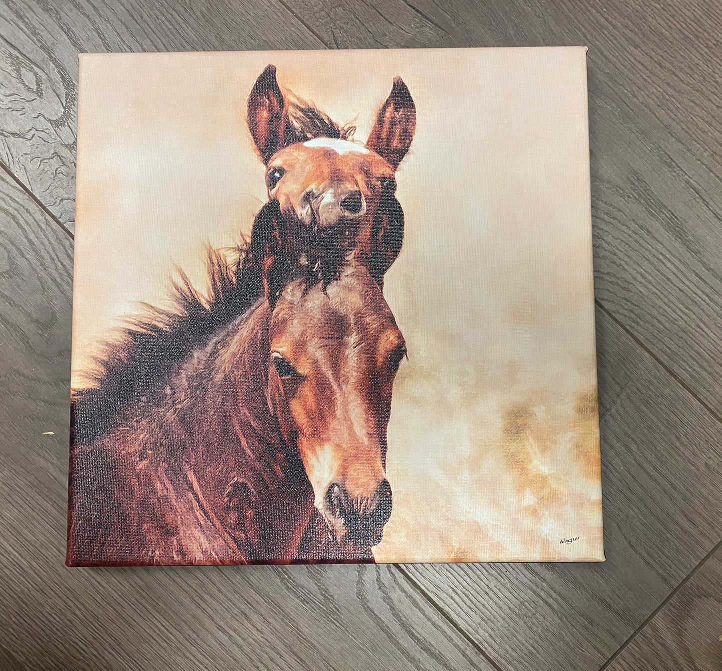 12”x12” Canvas Photo of Two Foals