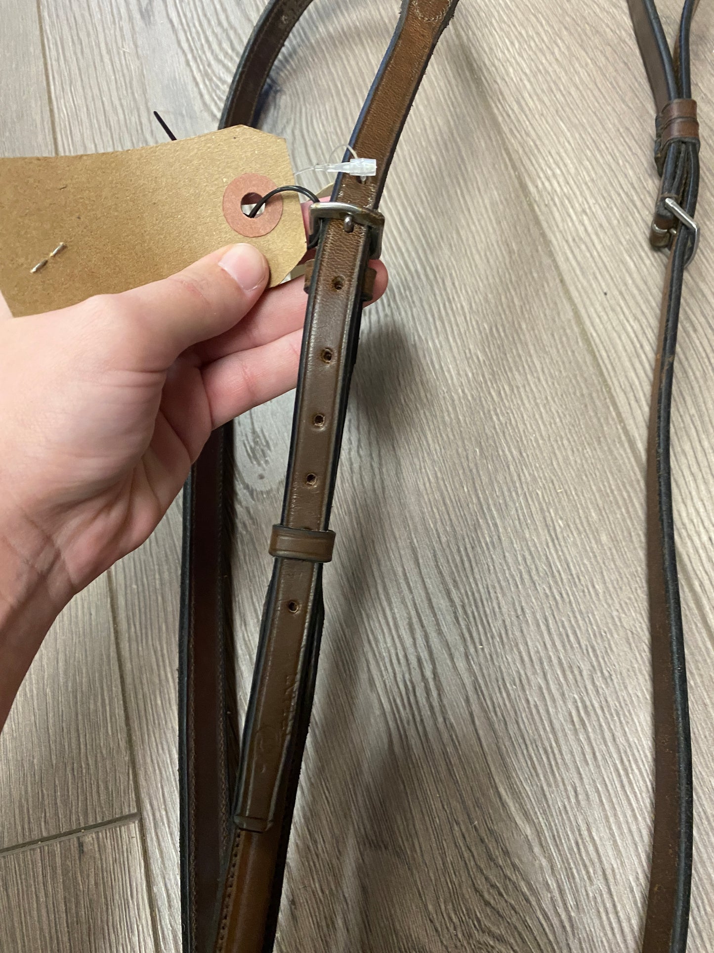 Full/Horse Pariani Plain Raised Standing Martingale