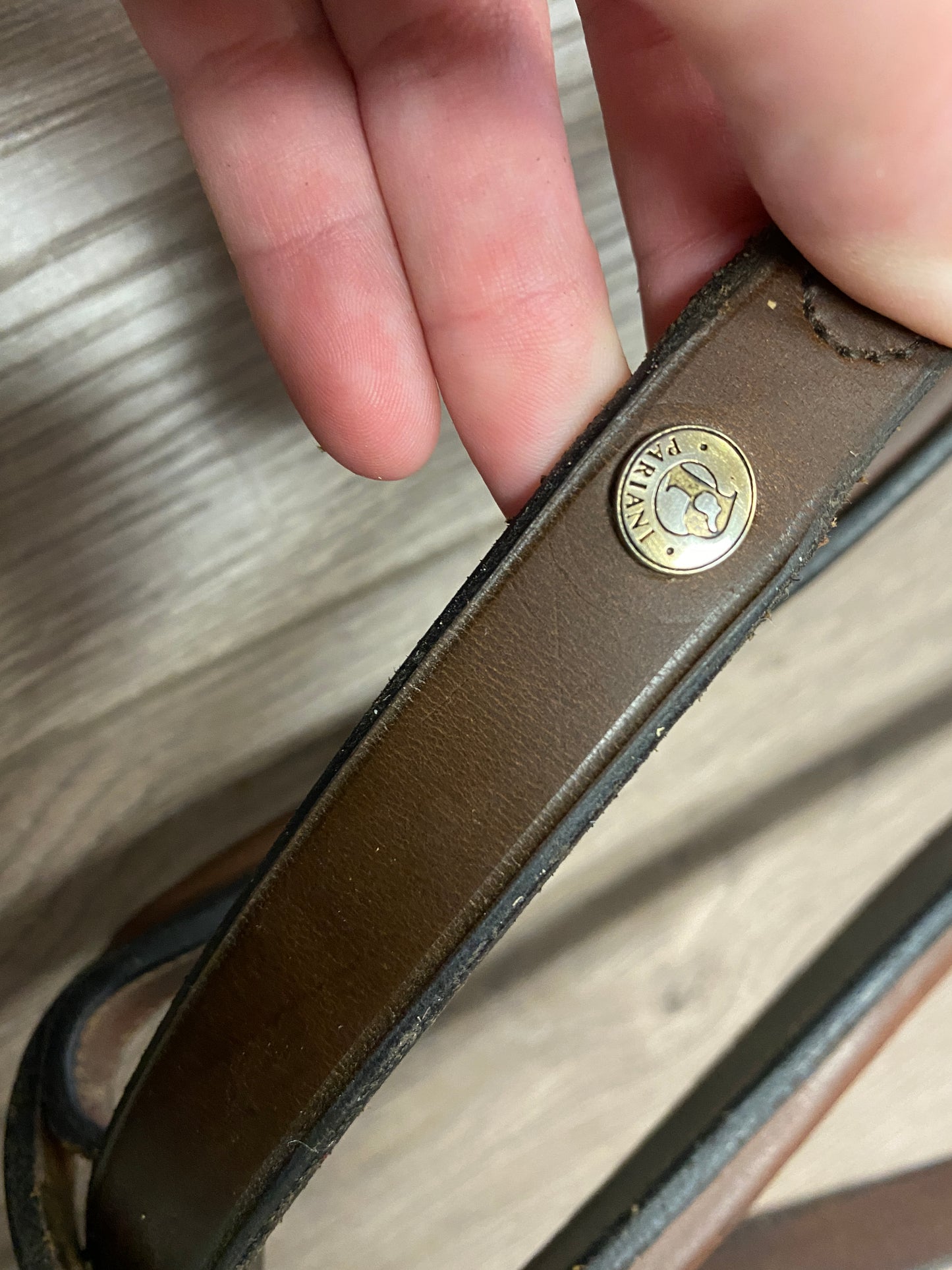 Full/Horse Pariani Plain Raised Standing Martingale