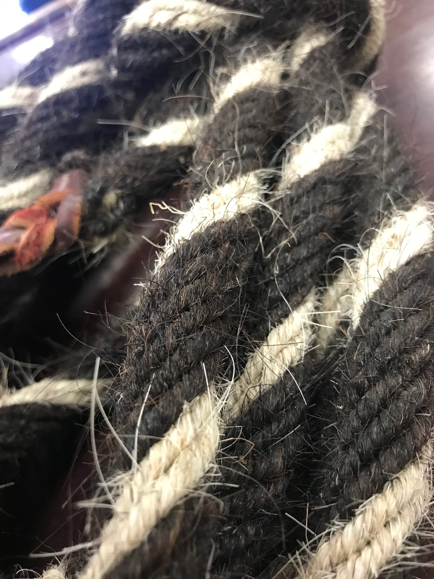 Horsehair mecate reins