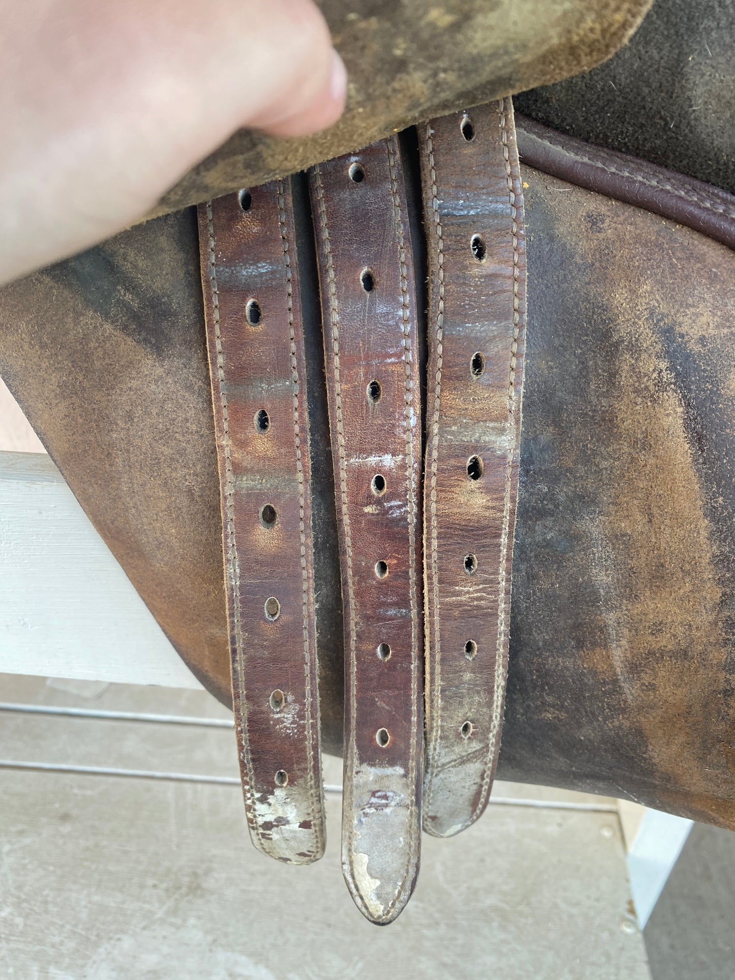 17 Bates Caprilli jump saddle