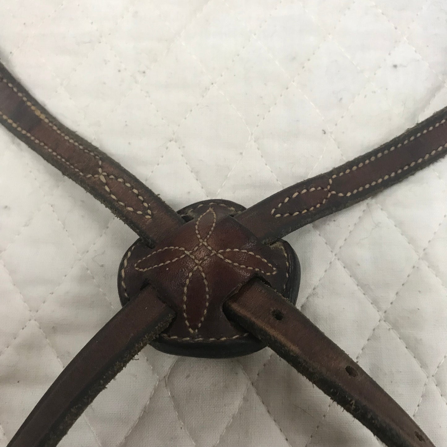 Fancy figure 8 noseband