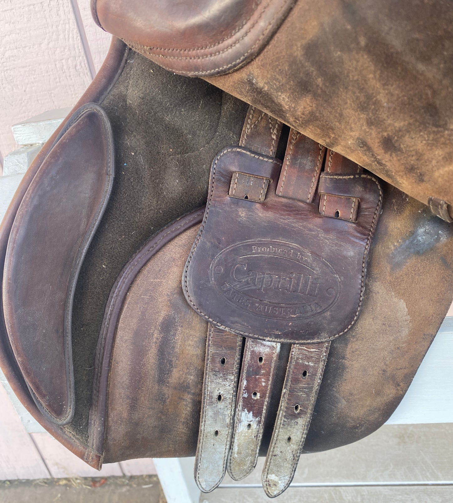 17 Bates Caprilli jump saddle