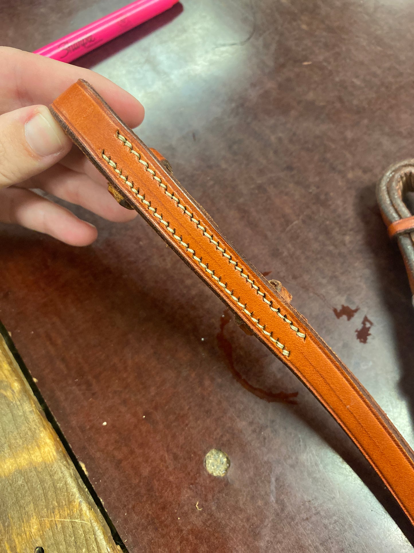 Pony Plain Edgewood Reins