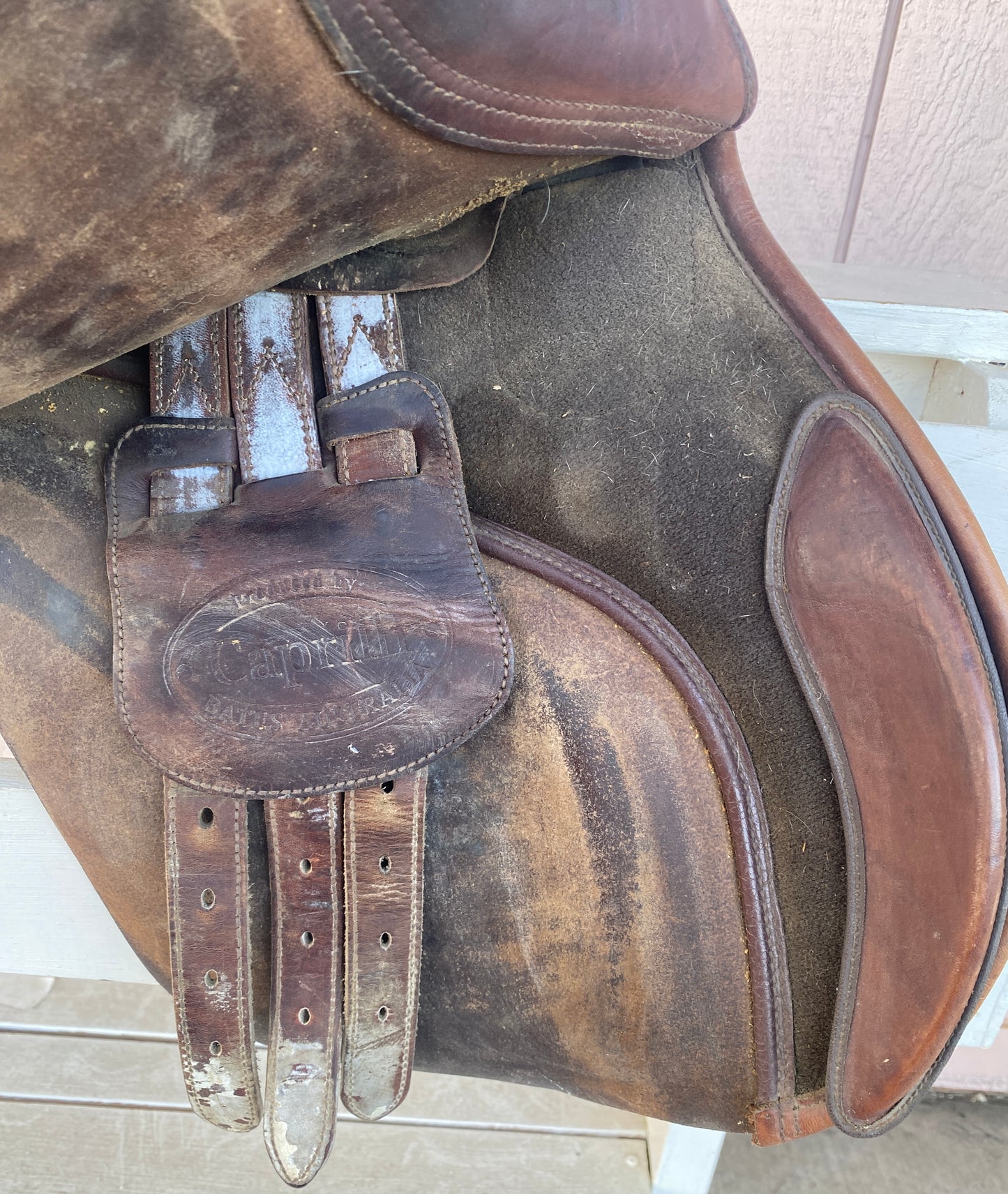 17 Bates Caprilli jump saddle