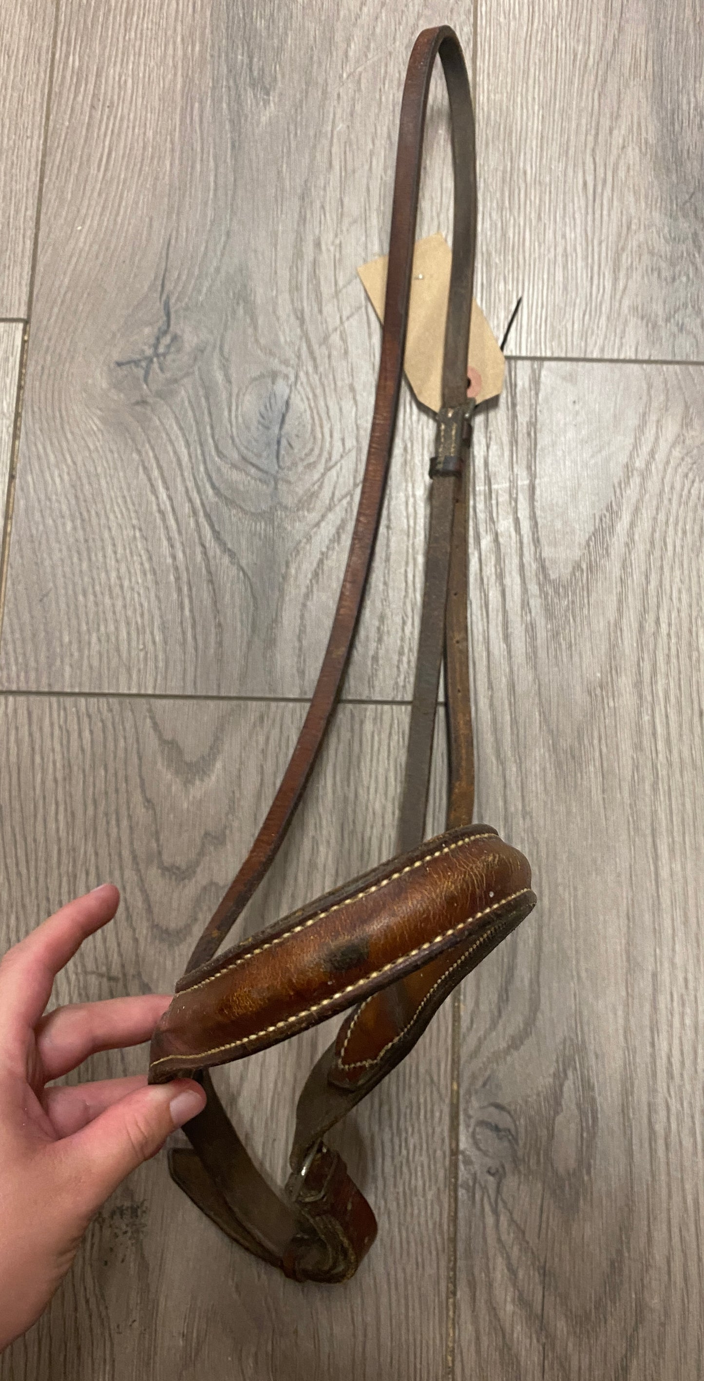 Horse Brown Noseband