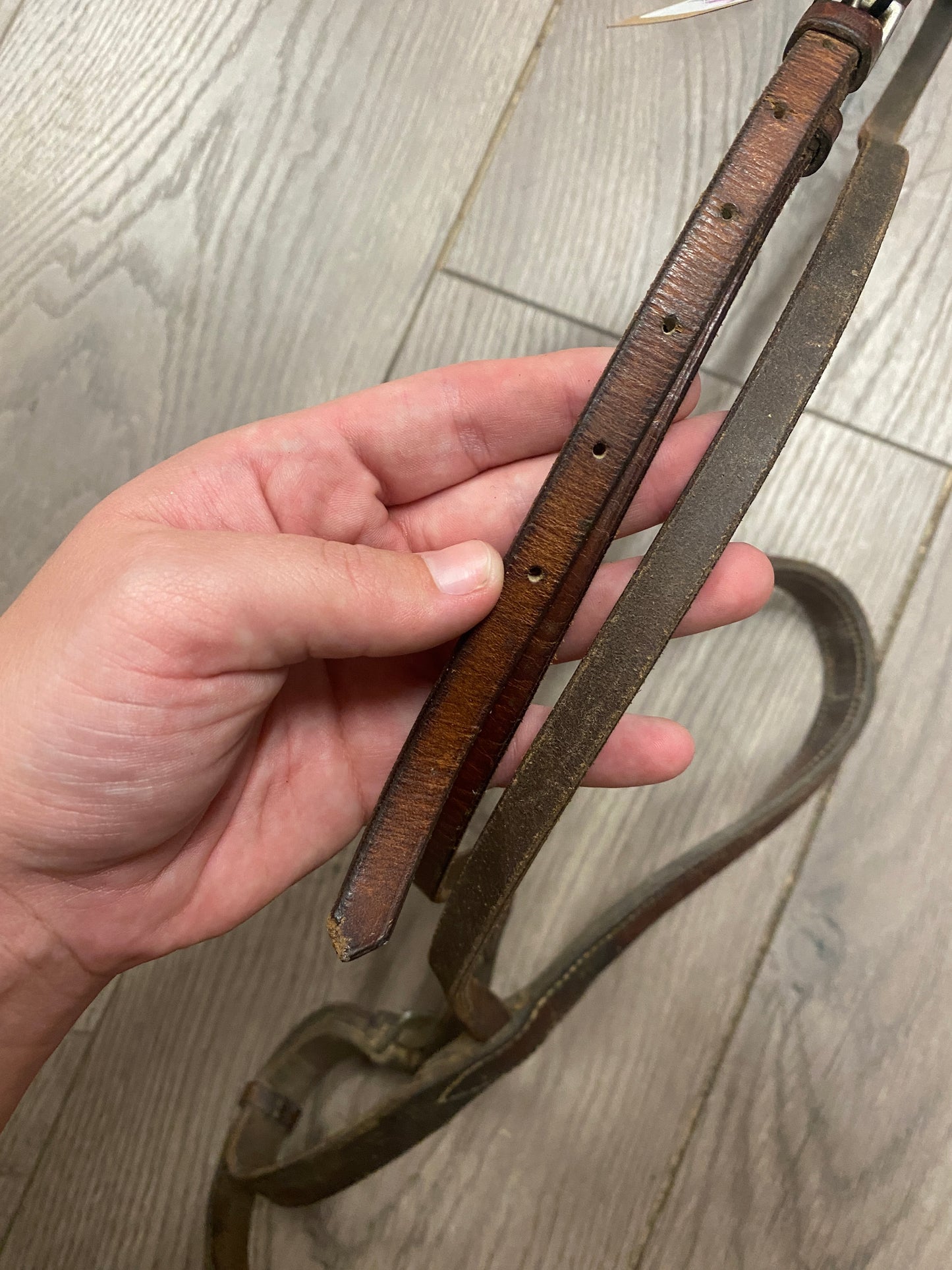 Horse Brown Noseband