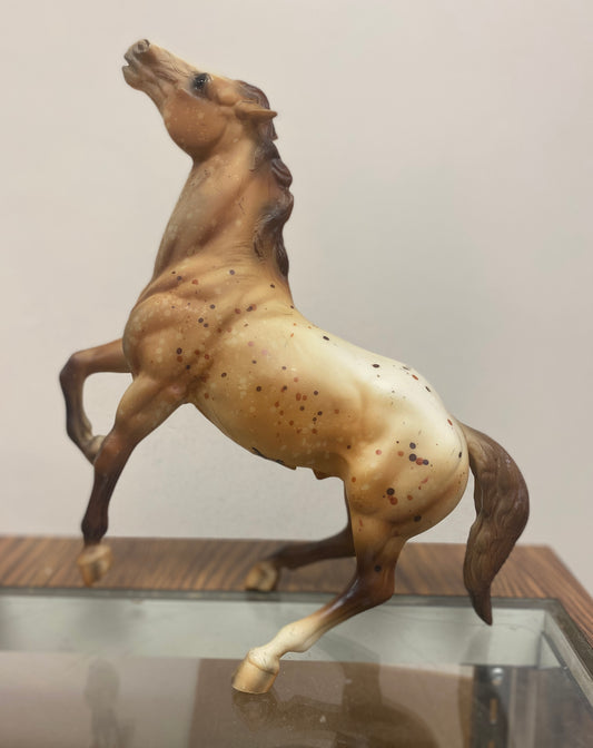 Breyer ‘Rawhide, Wild Appaloosa Mustang’ Signed by Peter Stone